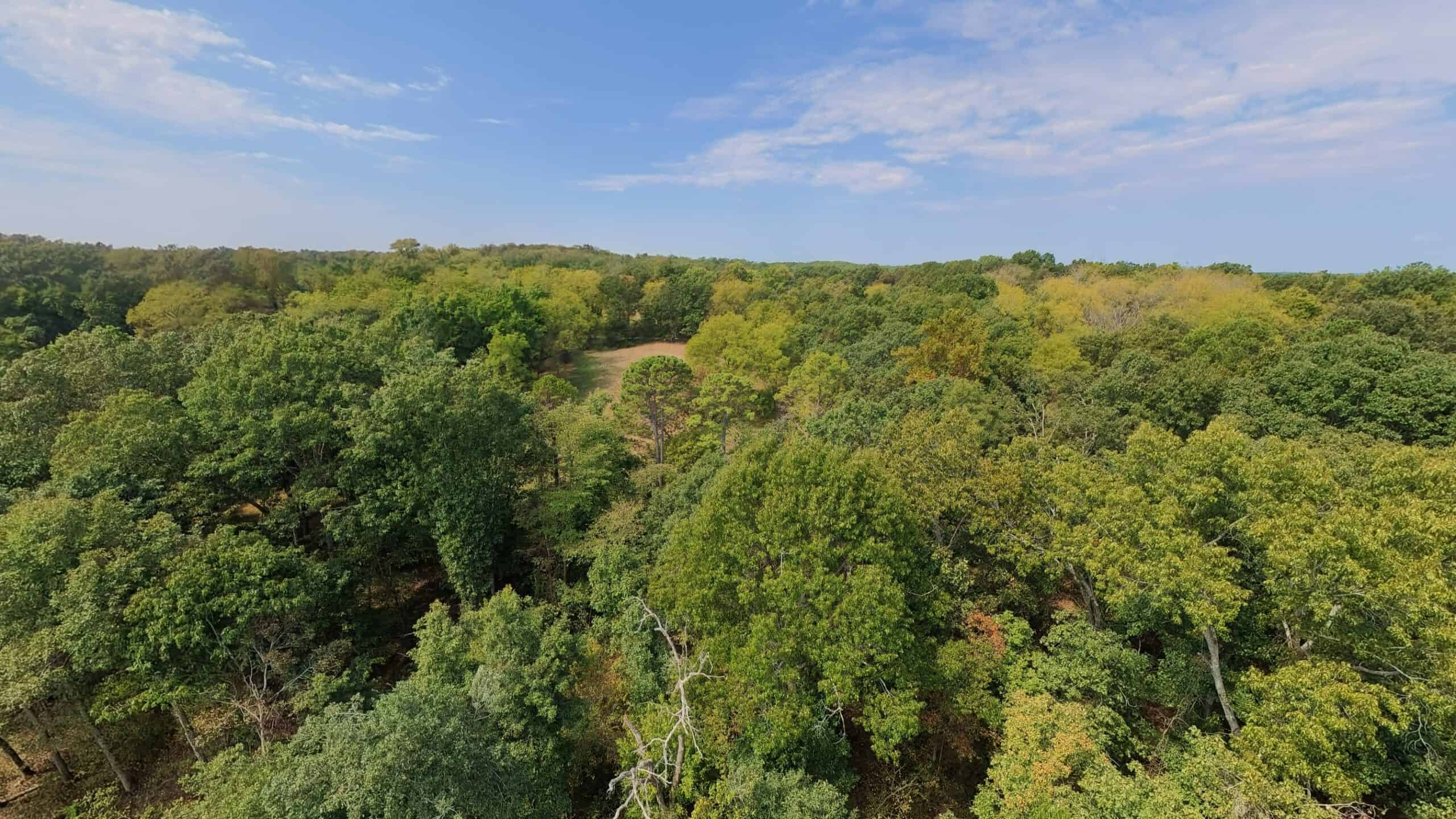 Country Home on 40 Acres for Sale in the Ozarks | Willow Springs, Missouri