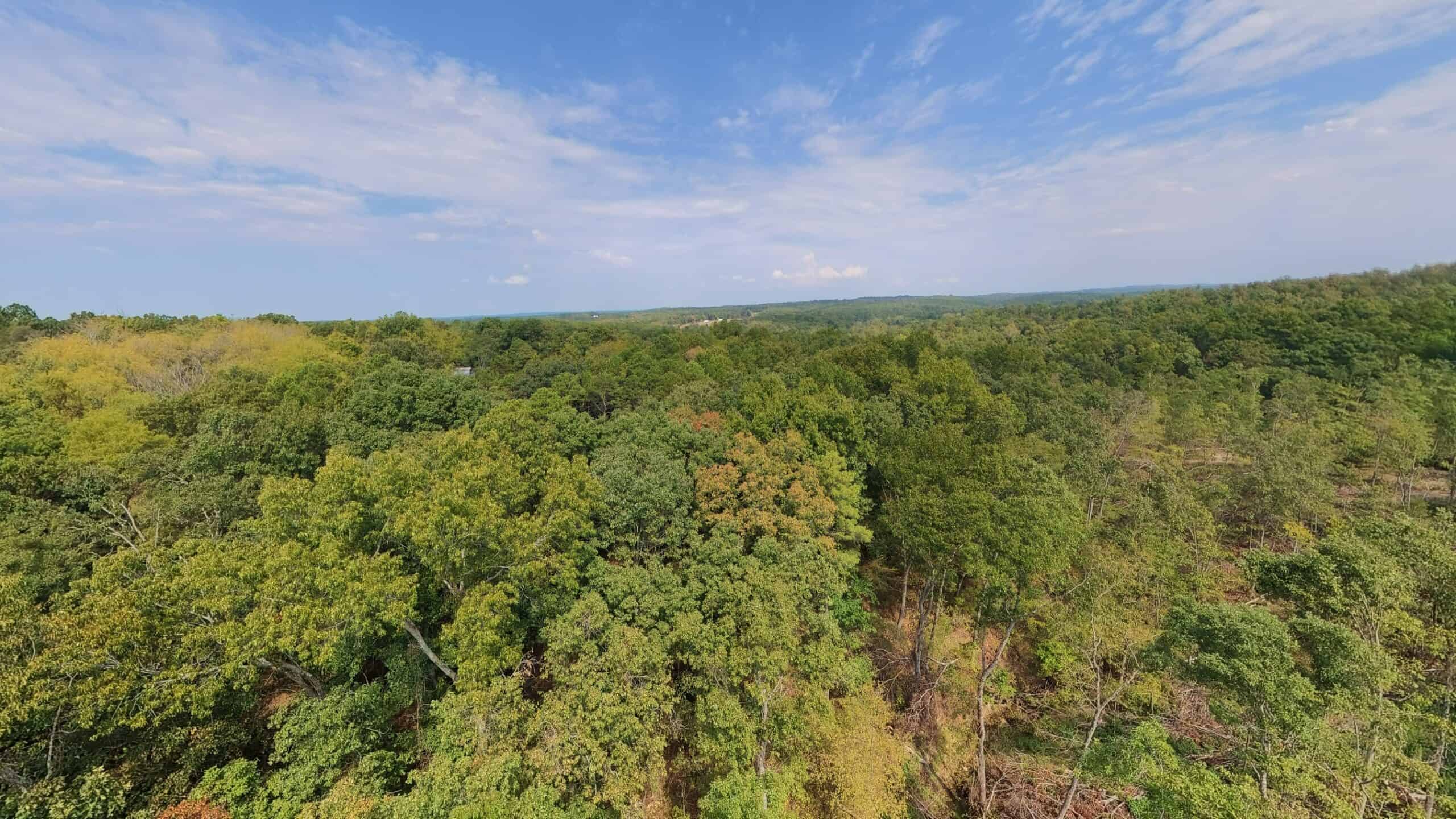 Country Home on 40 Acres for Sale in the Ozarks | Willow Springs, Missouri