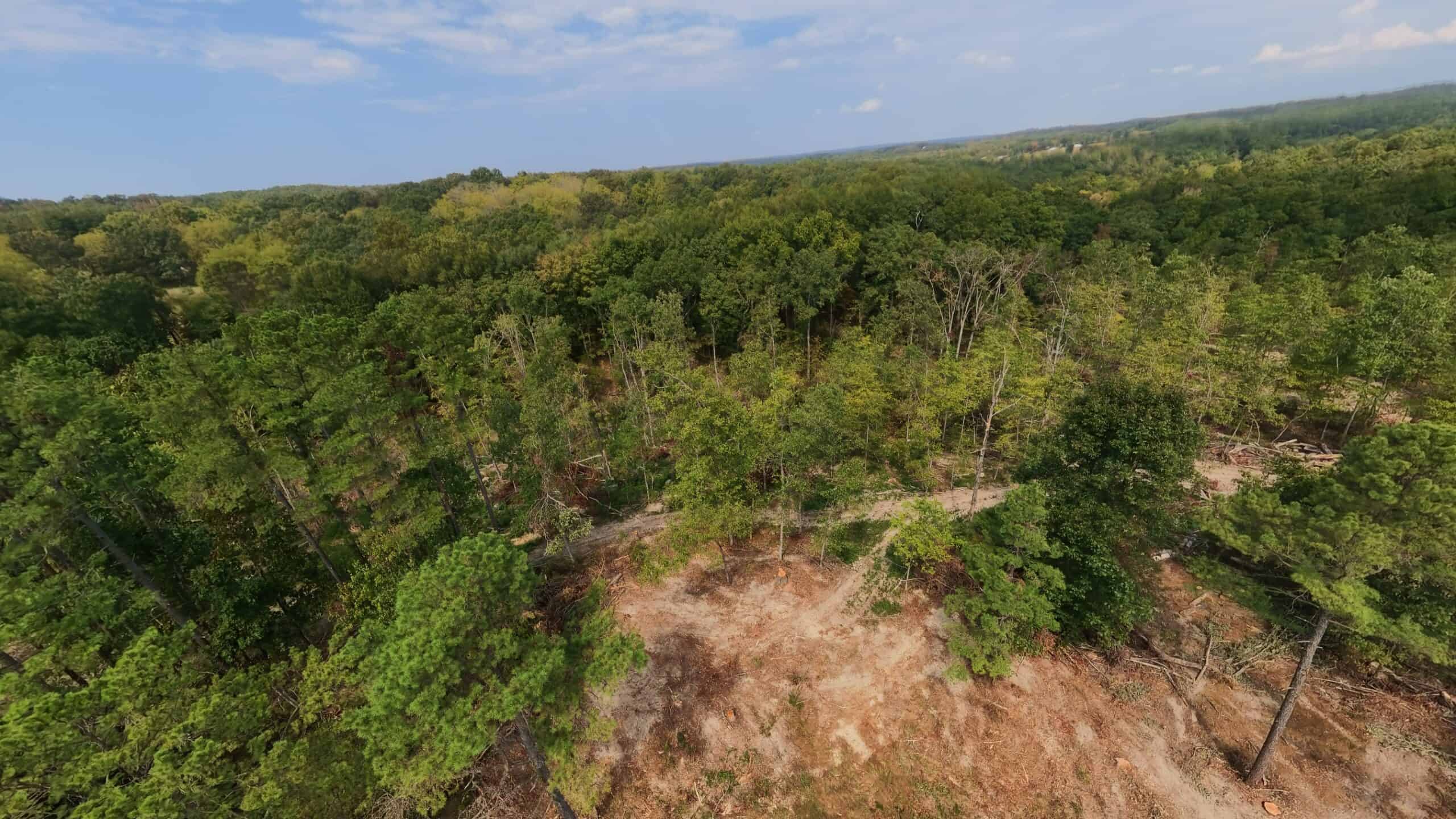 Country Home on 40 Acres for Sale in the Ozarks | Willow Springs, Missouri
