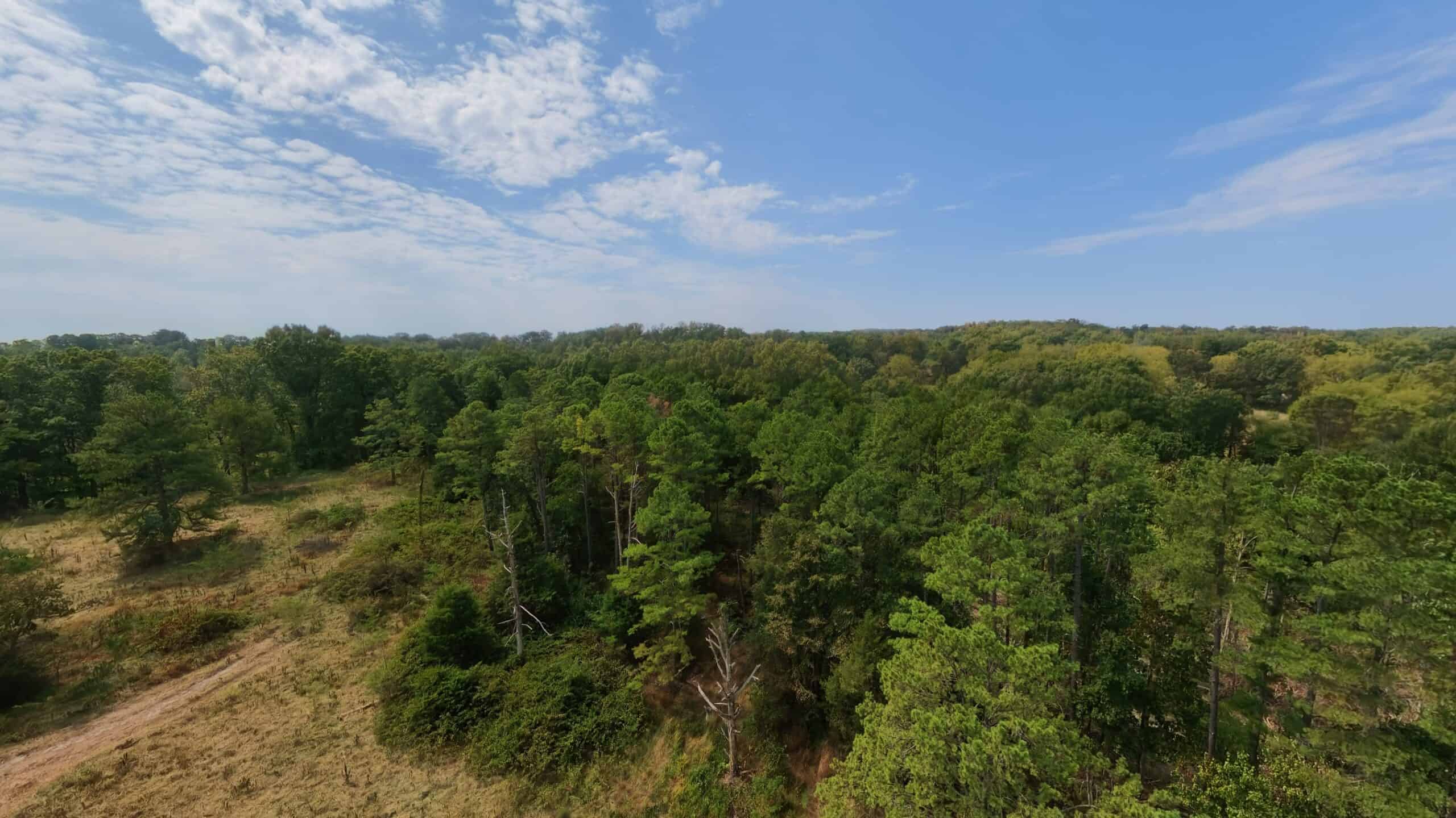 Country Home on 40 Acres for Sale in the Ozarks | Willow Springs, Missouri