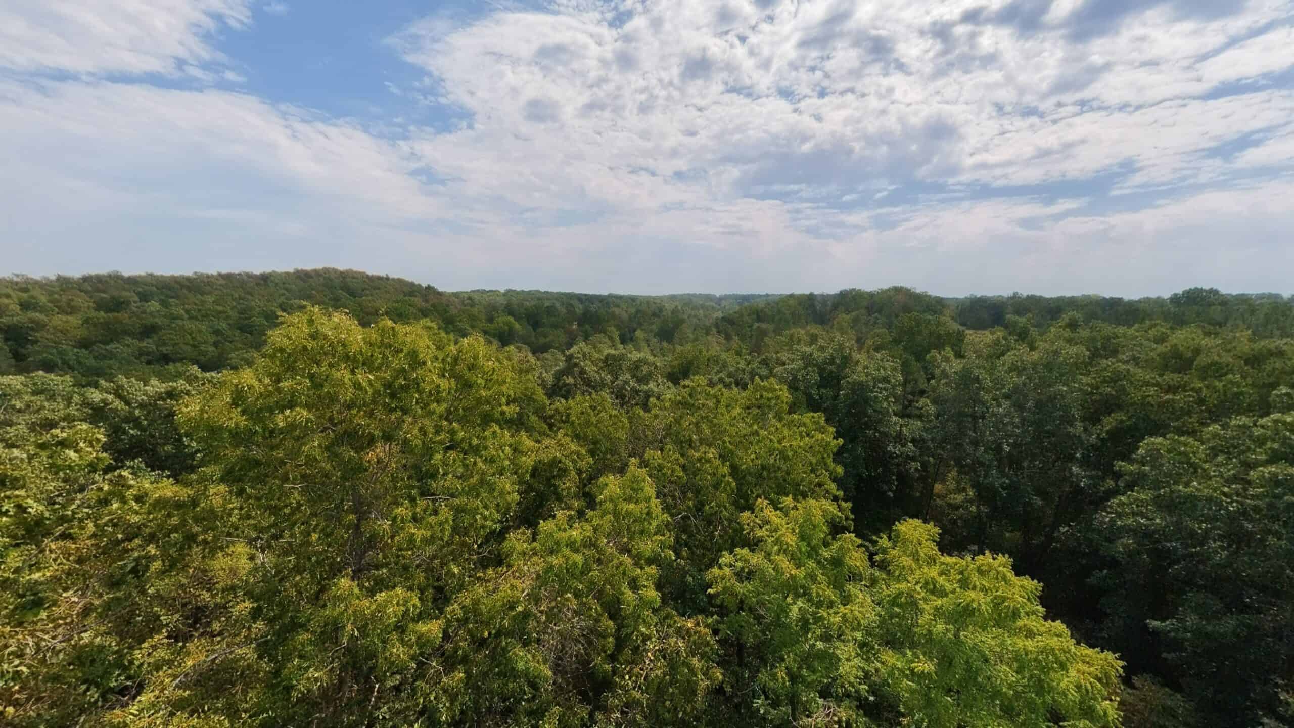 Country Home on 40 Acres for Sale in the Ozarks | Willow Springs, Missouri