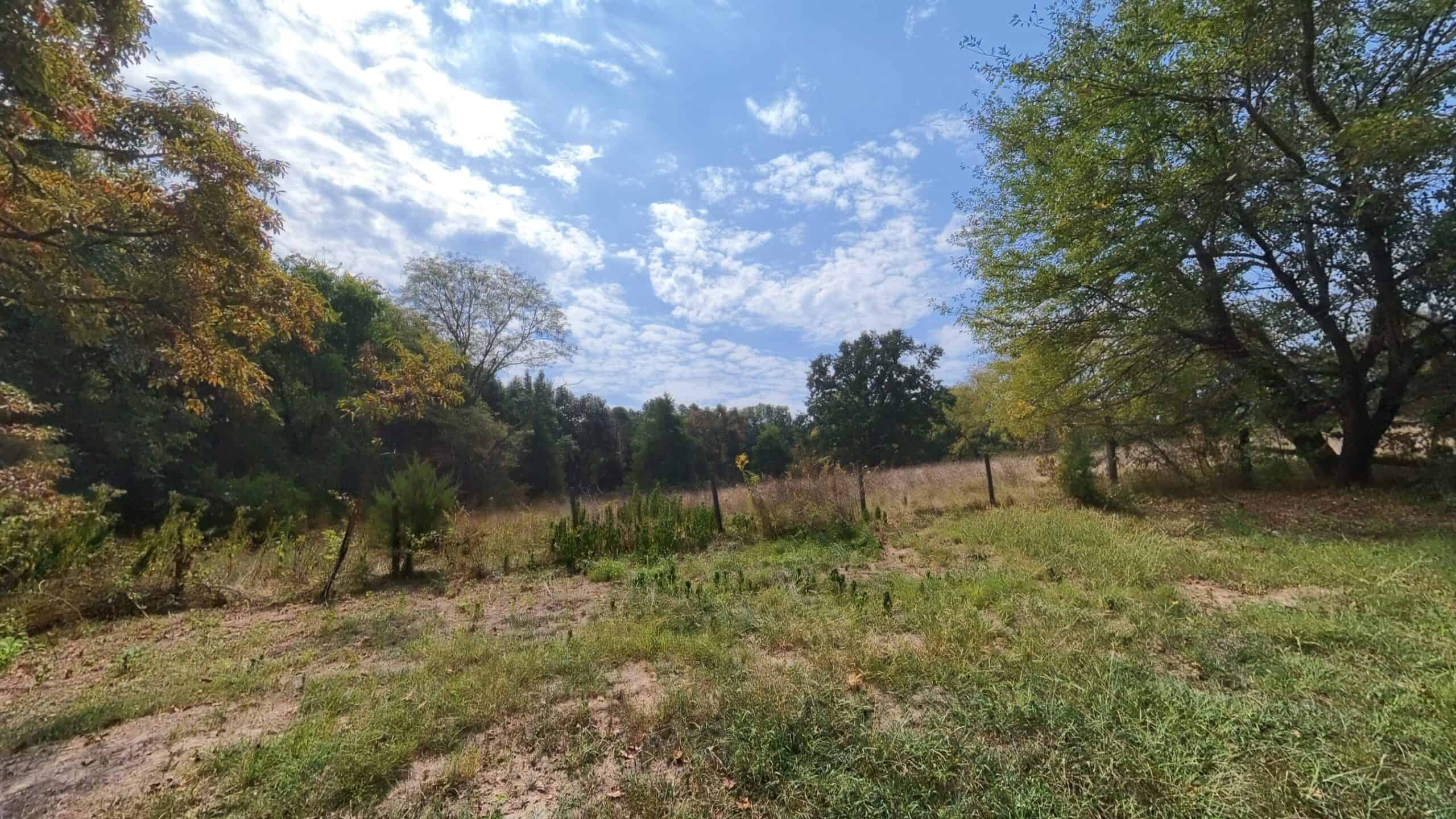 Country Home on 40 Acres for Sale in the Ozarks | Willow Springs, Missouri