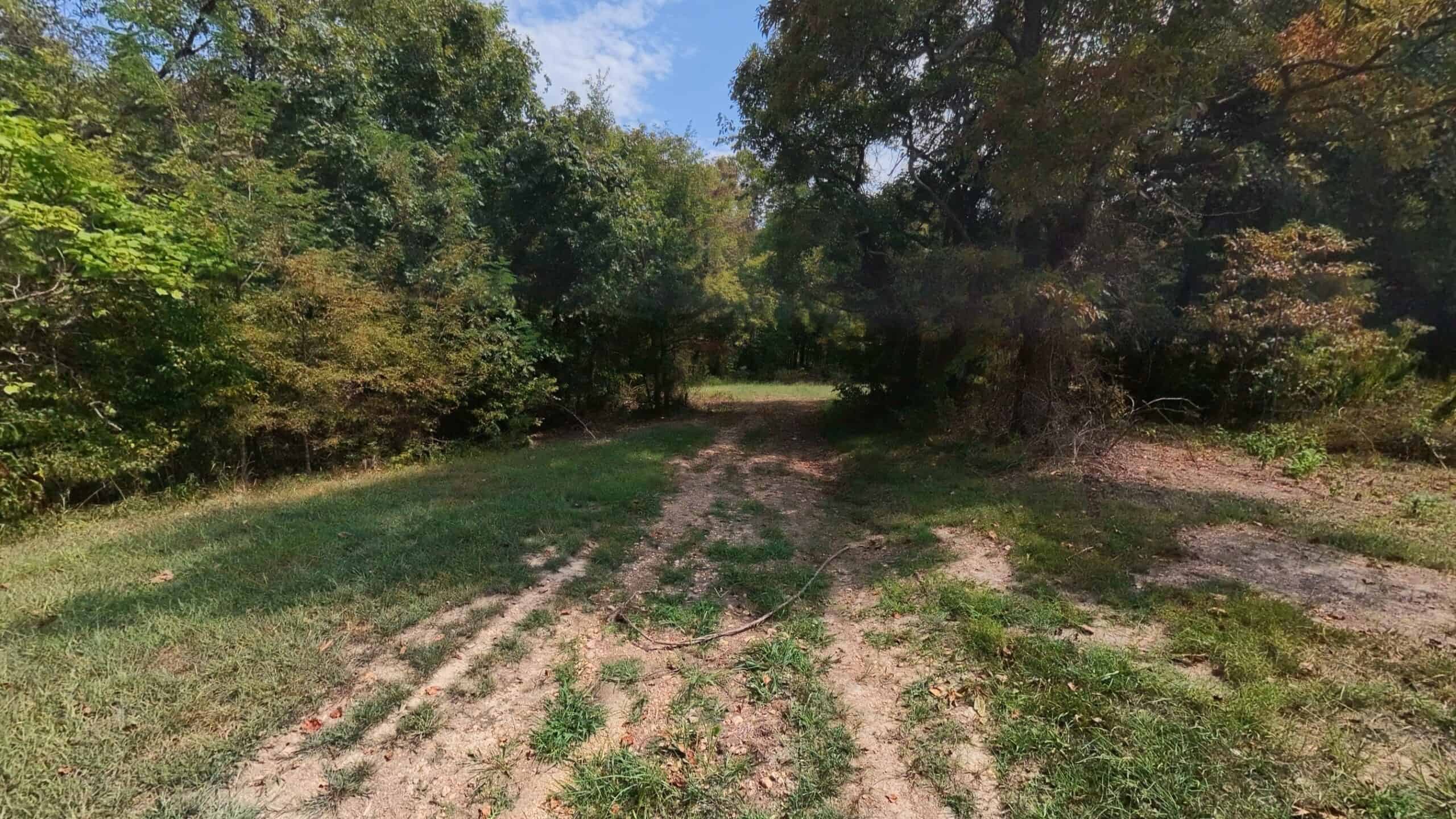 Country Home on 40 Acres for Sale in the Ozarks | Willow Springs, Missouri