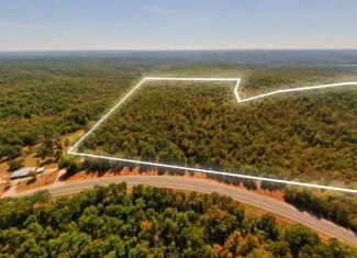 40 Acres for Sale in Williford | The Arkansas Ozarks