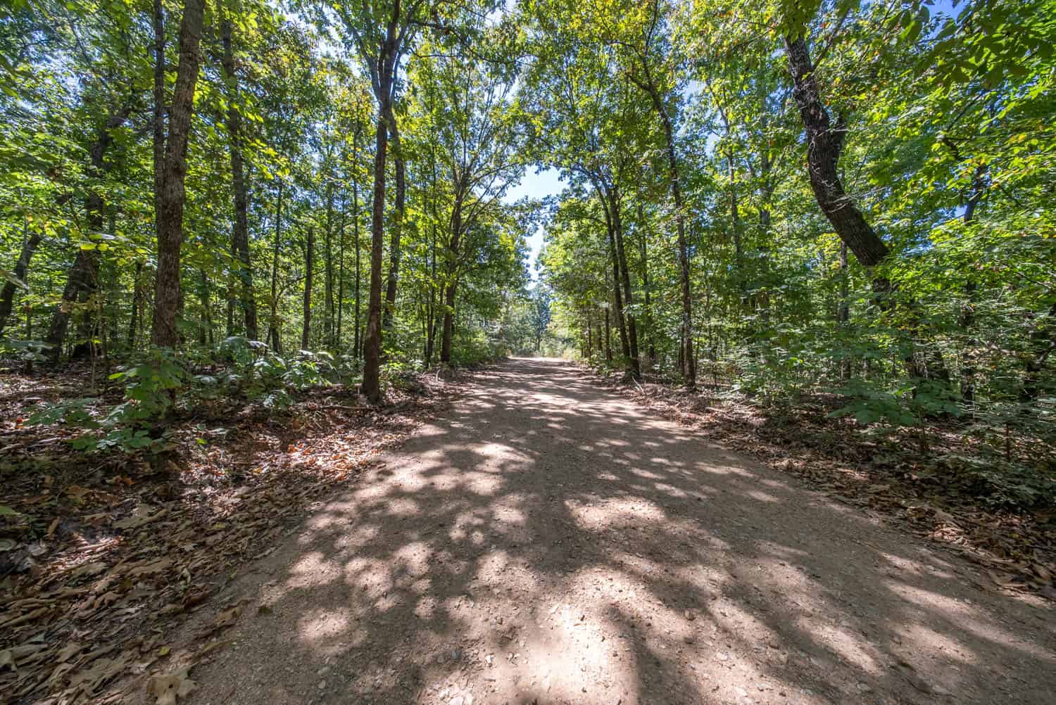 40 Acres for Sale in Williford | The Arkansas Ozarks