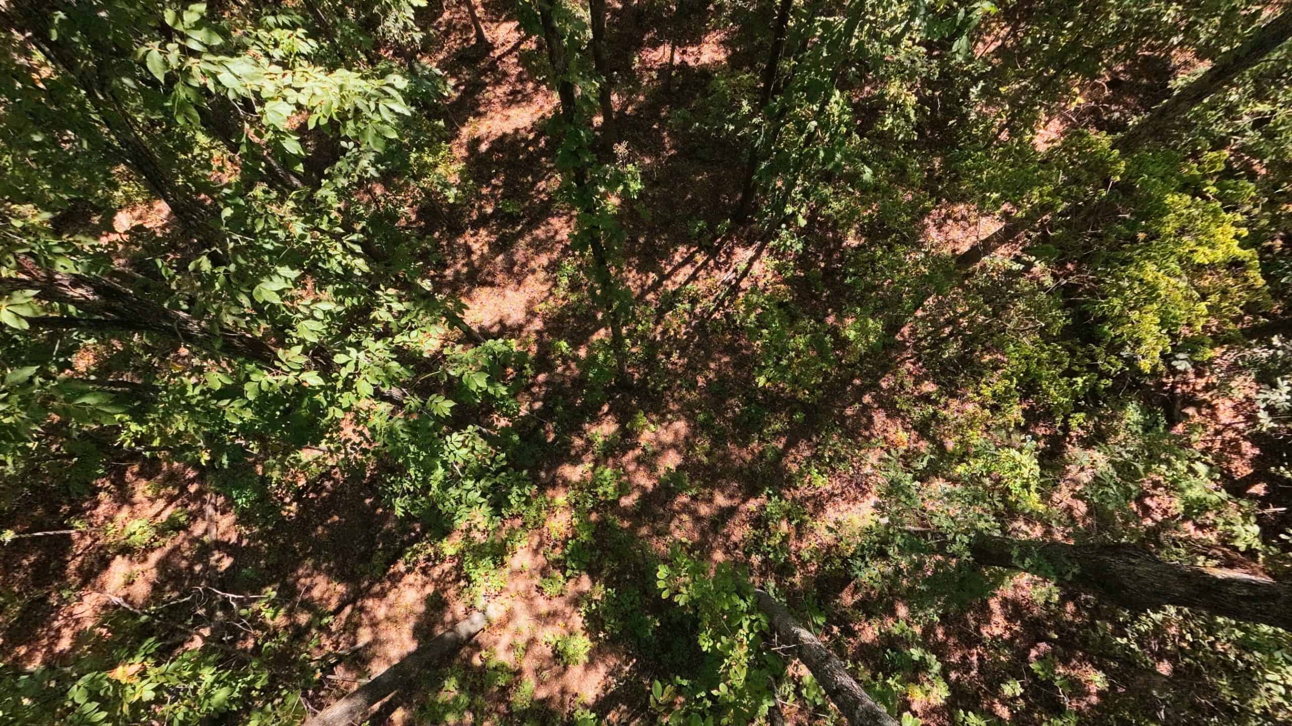40 Acres for Sale in Williford | The Arkansas Ozarks