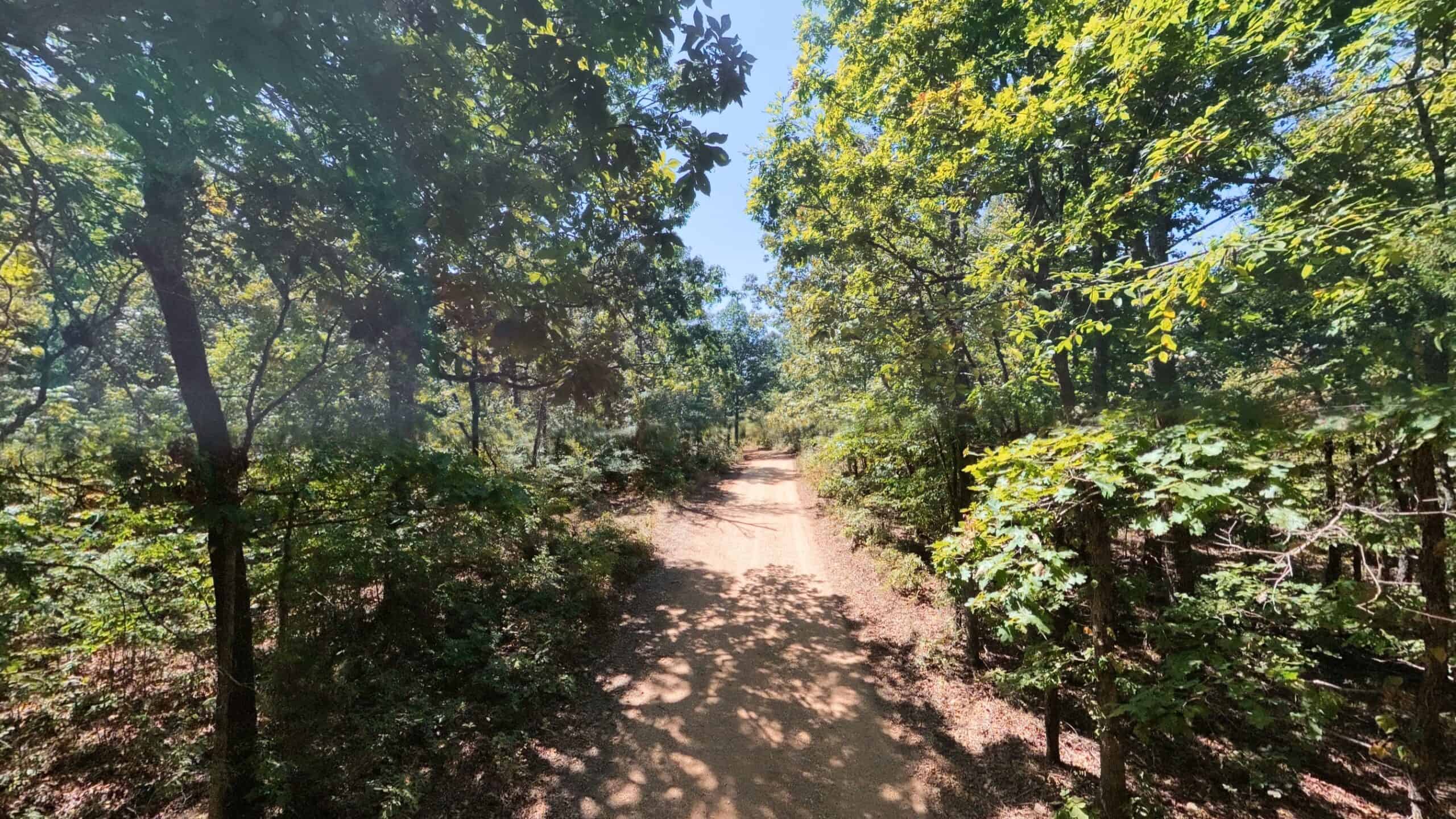 40 Acres for Sale in Williford | The Arkansas Ozarks