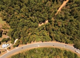 40 Acres for Sale in Williford | The Arkansas Ozarks