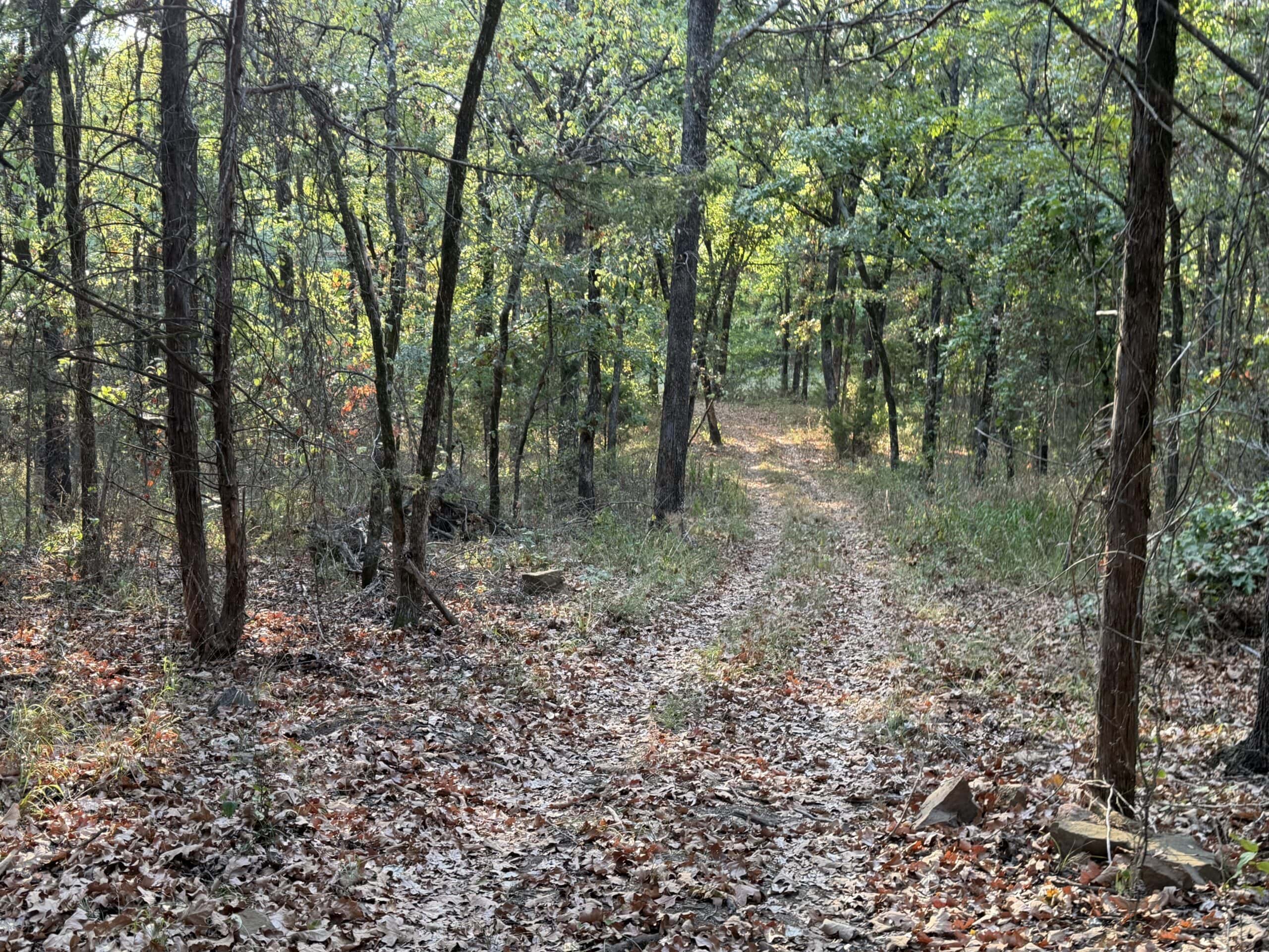 82.61-Acre Hunter’s Retreat with Stocked Lake & Barndominium