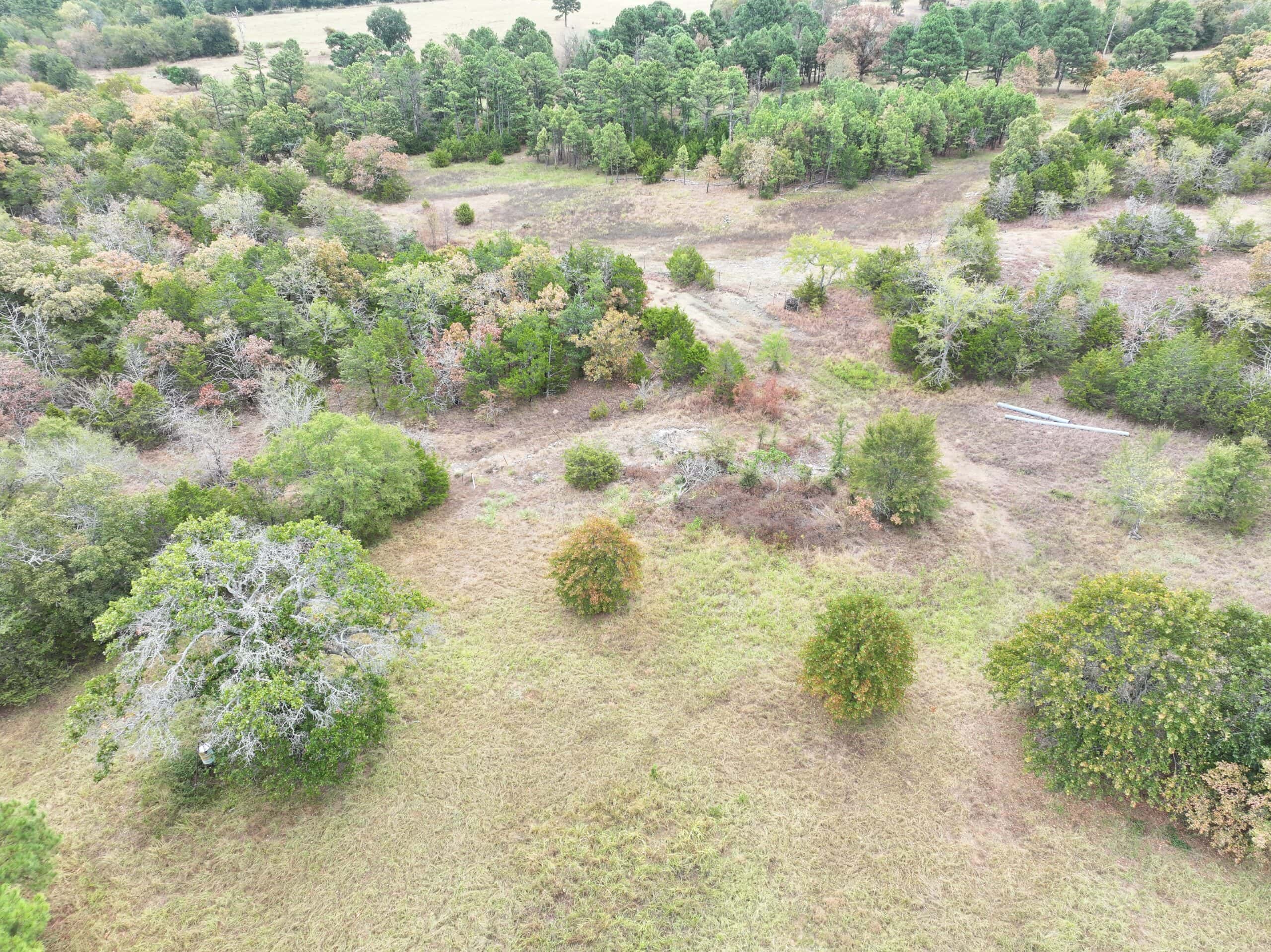 85 Acres of Hunting Land with Native Timber, Wildlife & Pond in SE Oklahoma