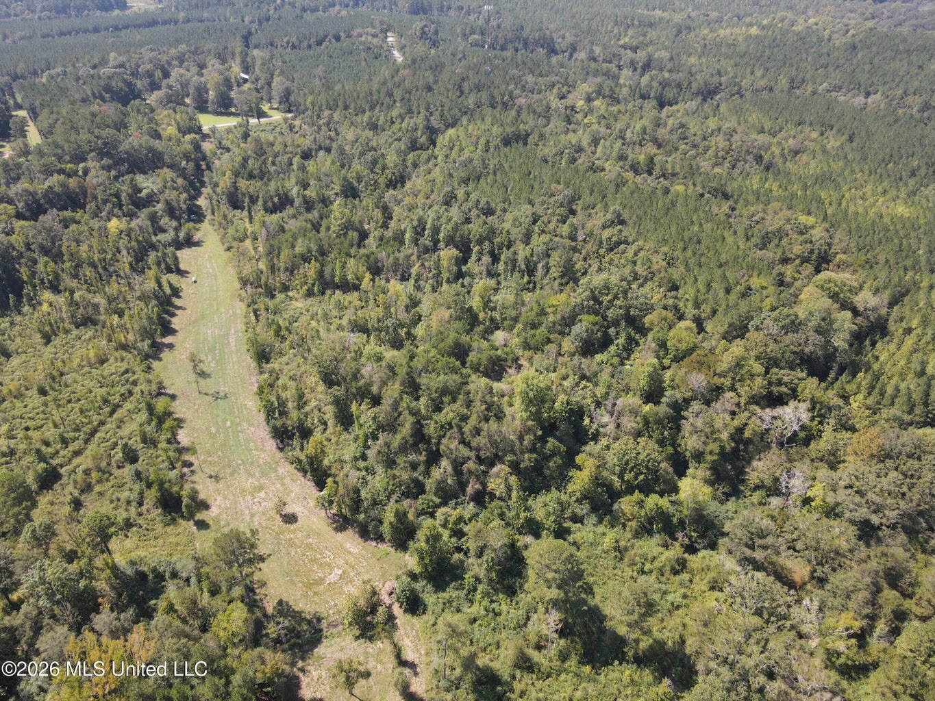 76 Acres of Hunting Land in Raleigh, MS, Smith County