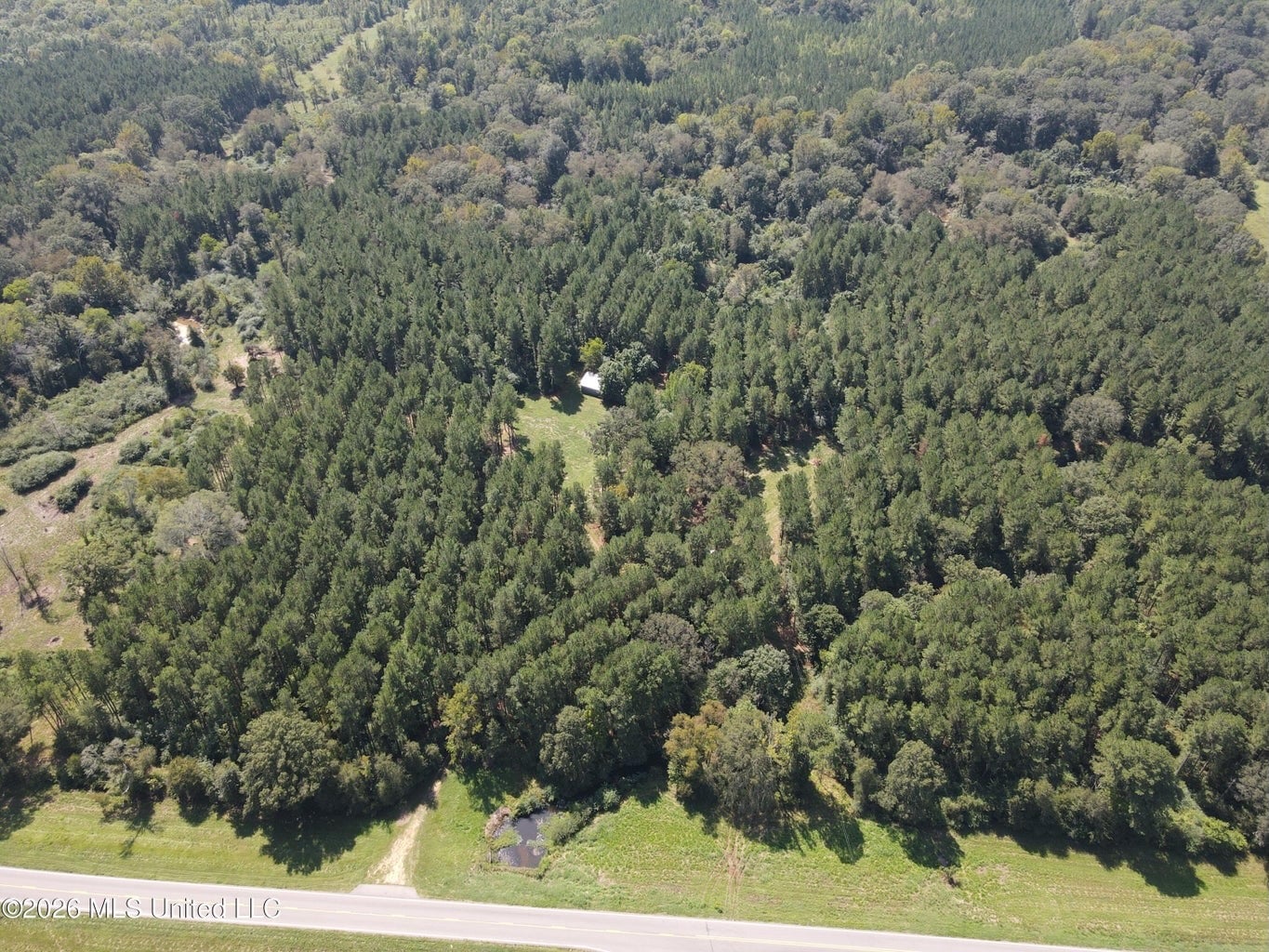 52 Acres Hunting & Timberland in Raleigh, MS