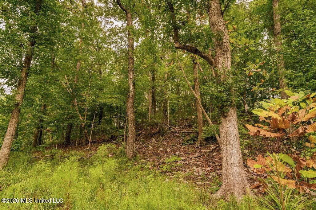 58± Acre Hunting Property in Franklin County, MS