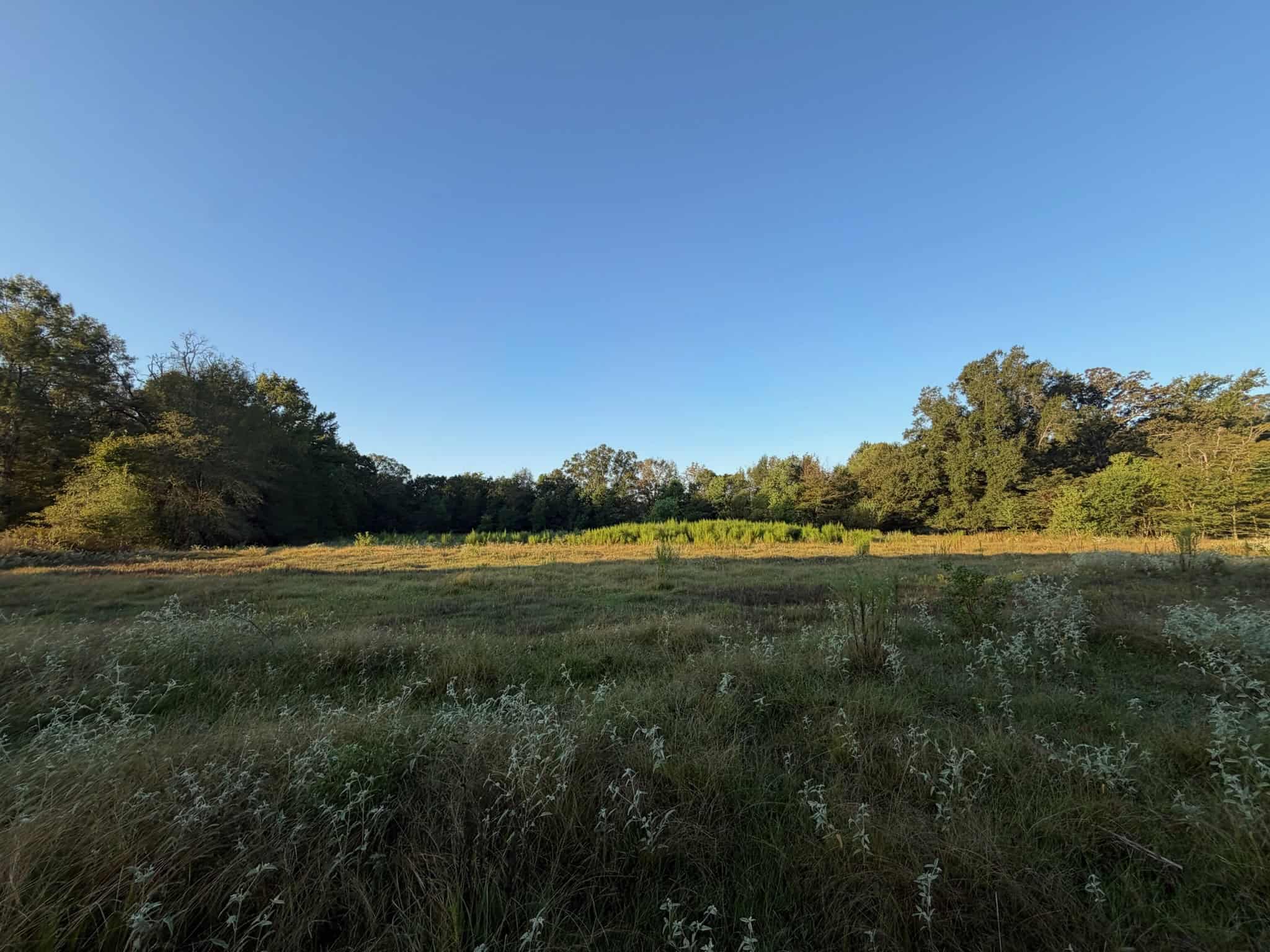 80 Ac Home, Hunting & Cattle Land in Franklin Parish LA