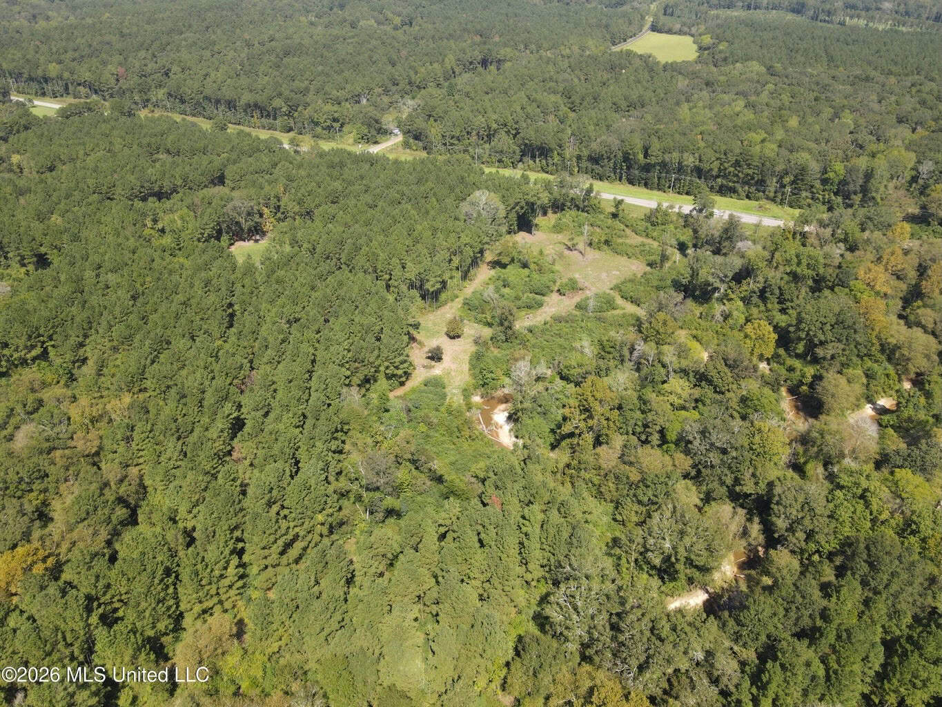 76 Acres of Hunting Land in Raleigh, MS, Smith County