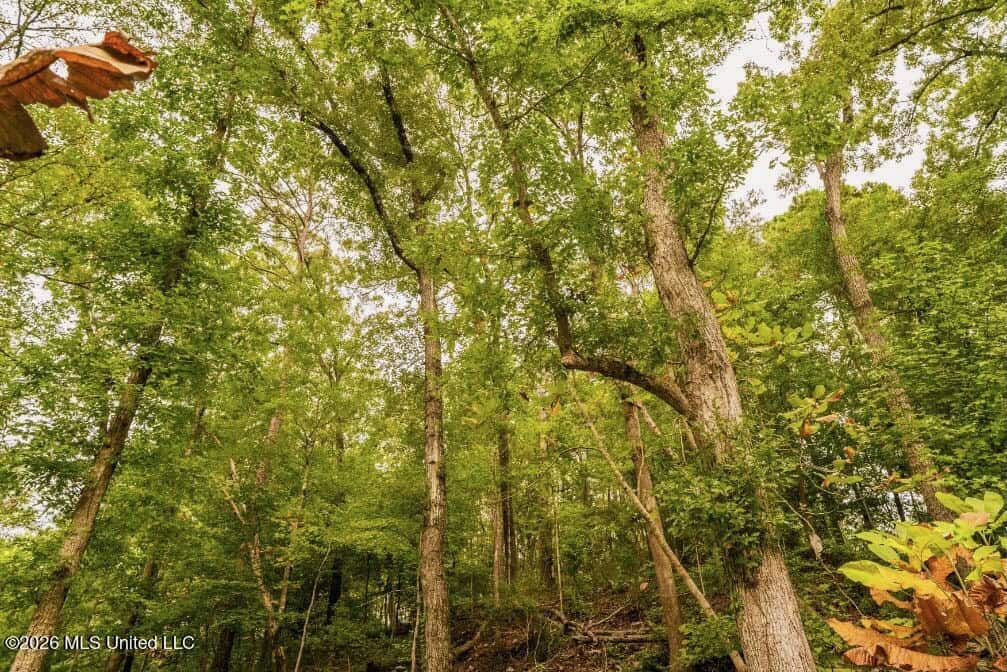 58± Acre Hunting Property in Franklin County, MS