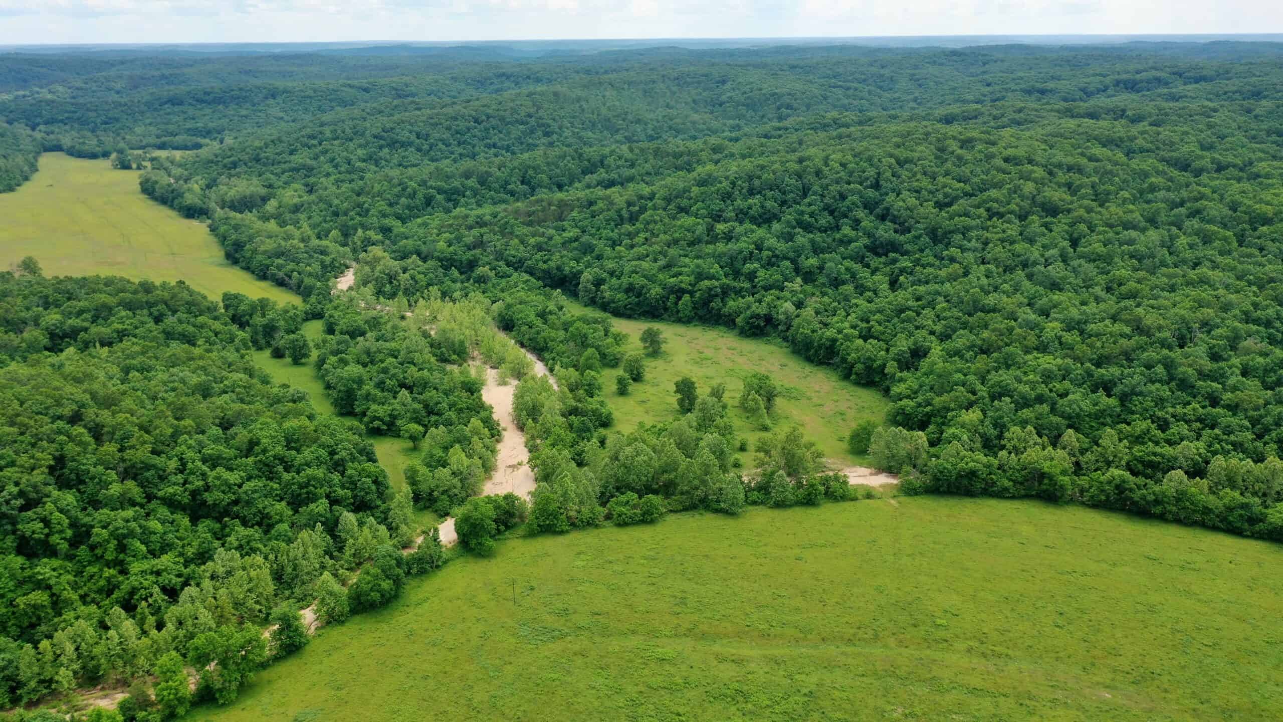 473 ± Acre Ozark Farm for Sale Near Salem, Missouri