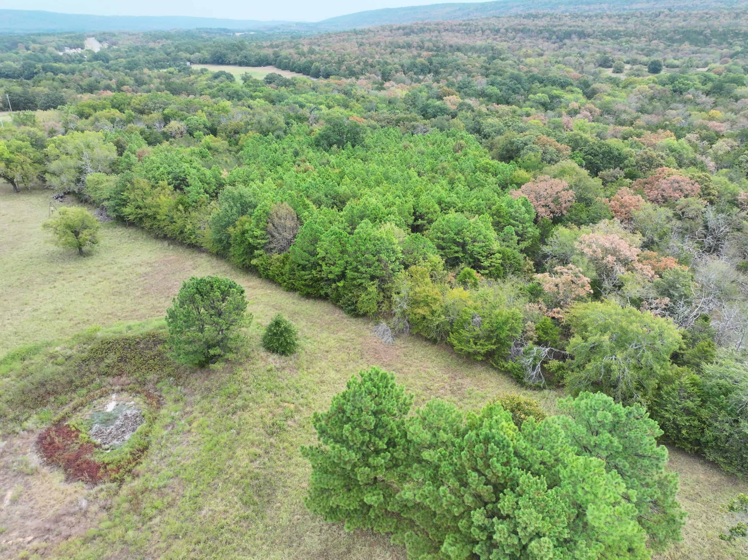 85 Acres of Hunting Land with Native Timber, Wildlife & Pond in SE Oklahoma