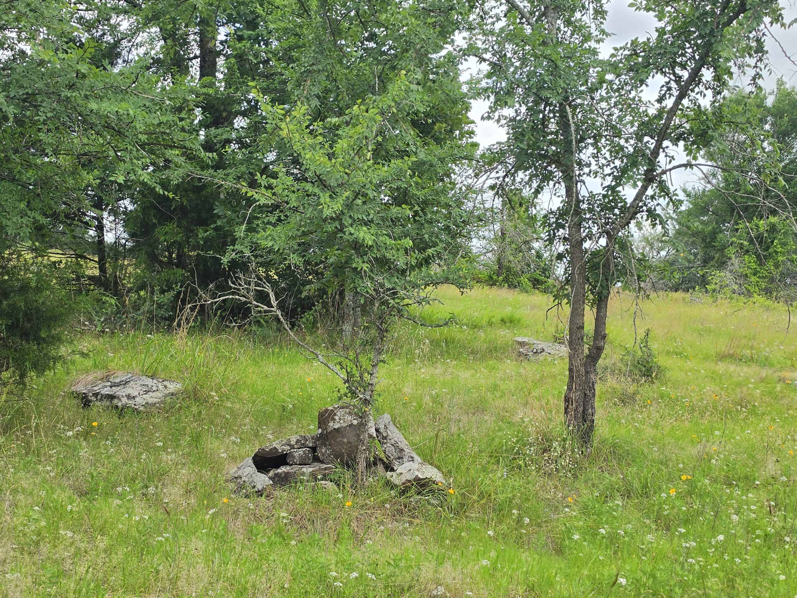 104± Acres of Whitetail Hunting, Hardwood Timber & Fishing Ponds in SE Oklahoma