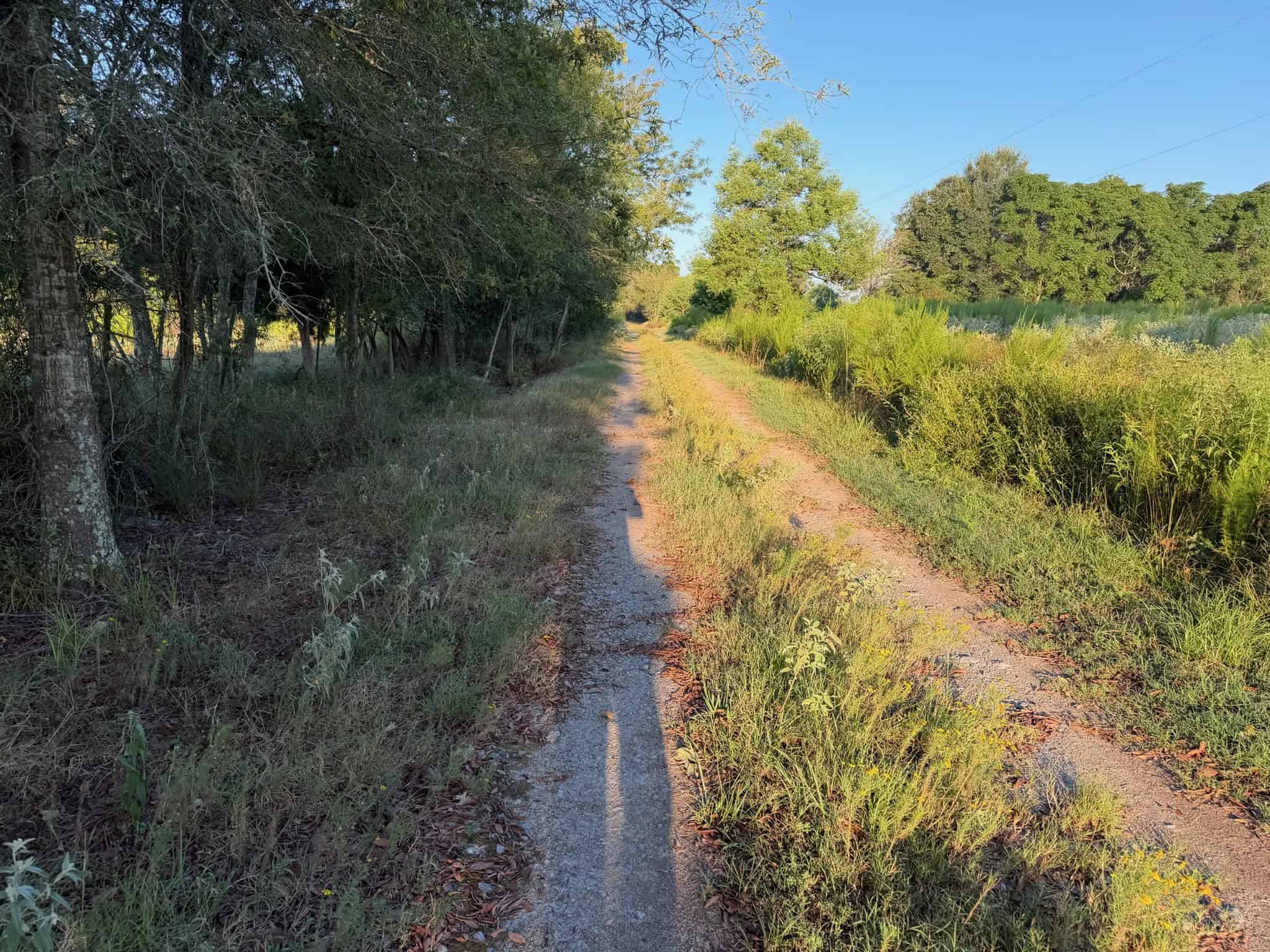 80 Ac Home, Hunting & Cattle Land in Franklin Parish LA