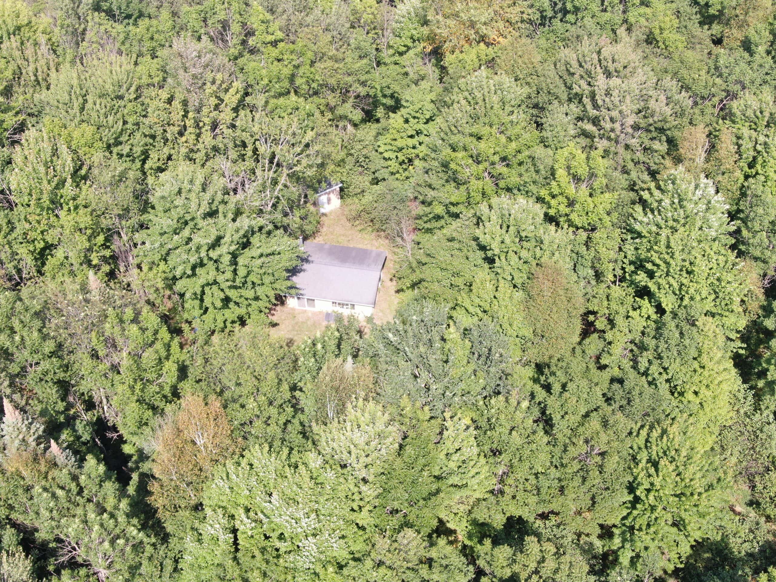 37.5± Acres with Off-Grid Cabin – Taylor County, Wisconsin