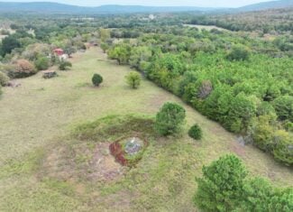 85 Acres of Hunting Land with Native Timber, Wildlife & Pond in SE Oklahoma