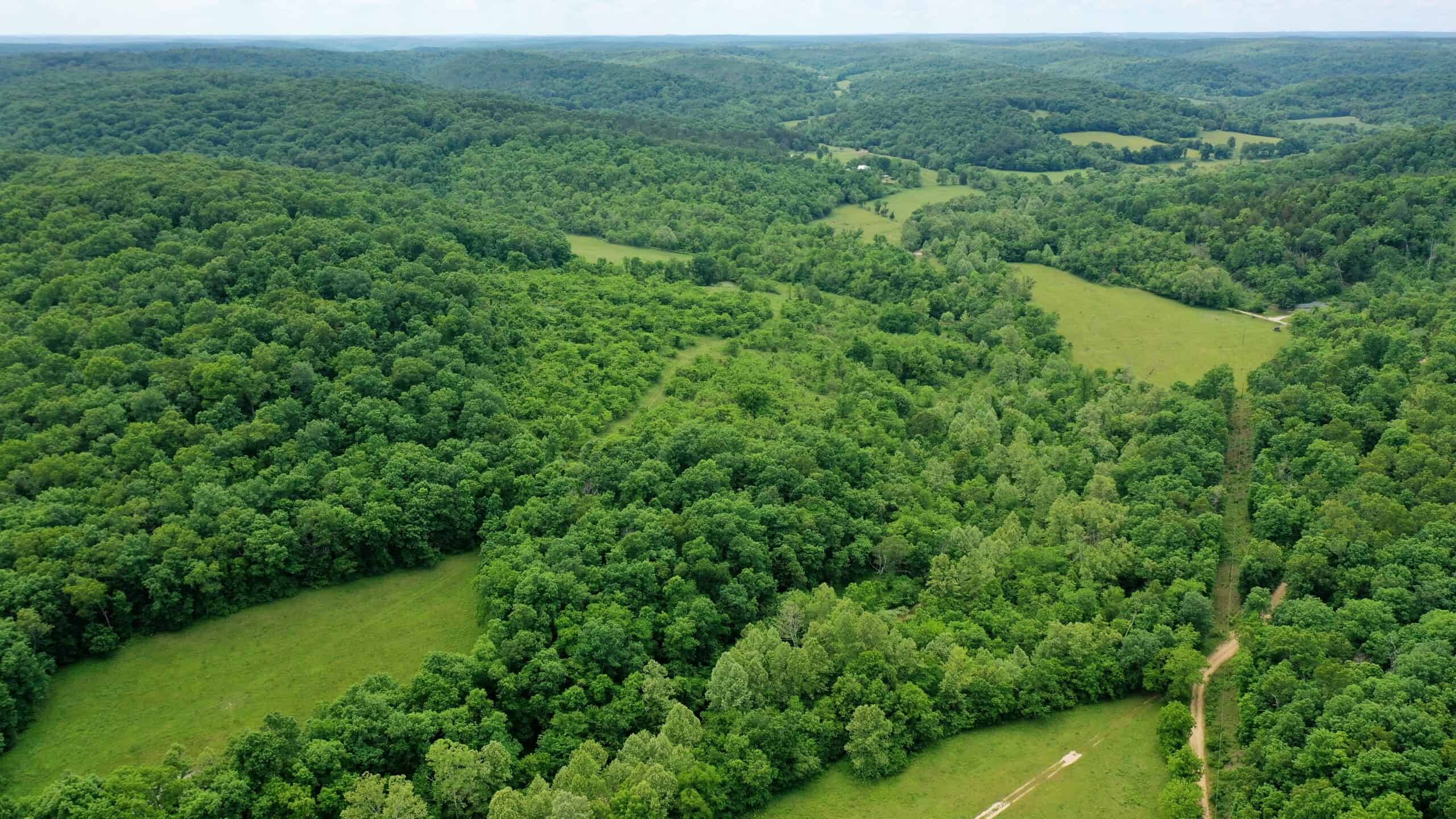 473 ± Acre Ozark Farm for Sale Near Salem, Missouri