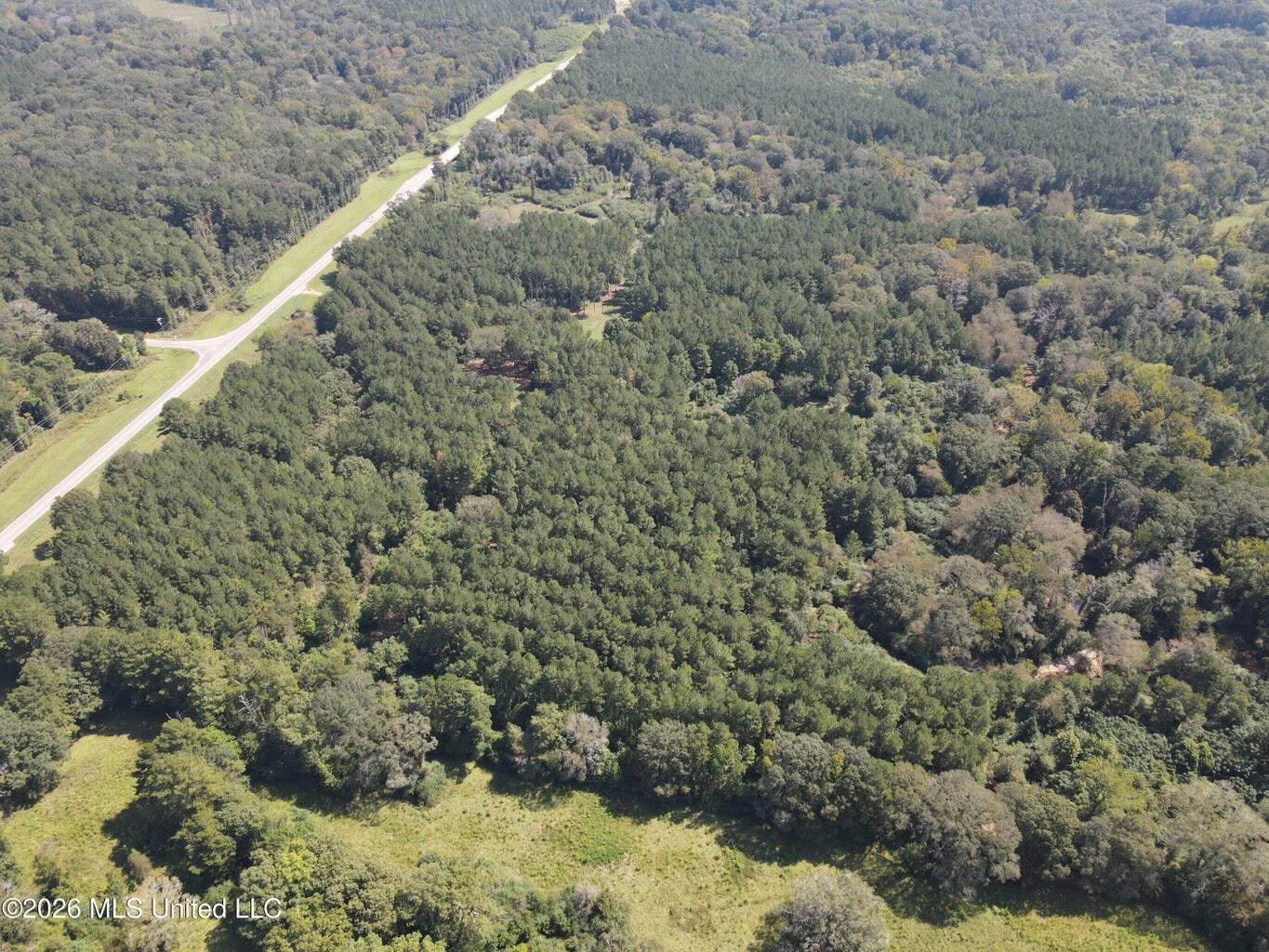 76 Acres of Hunting Land in Raleigh, MS, Smith County