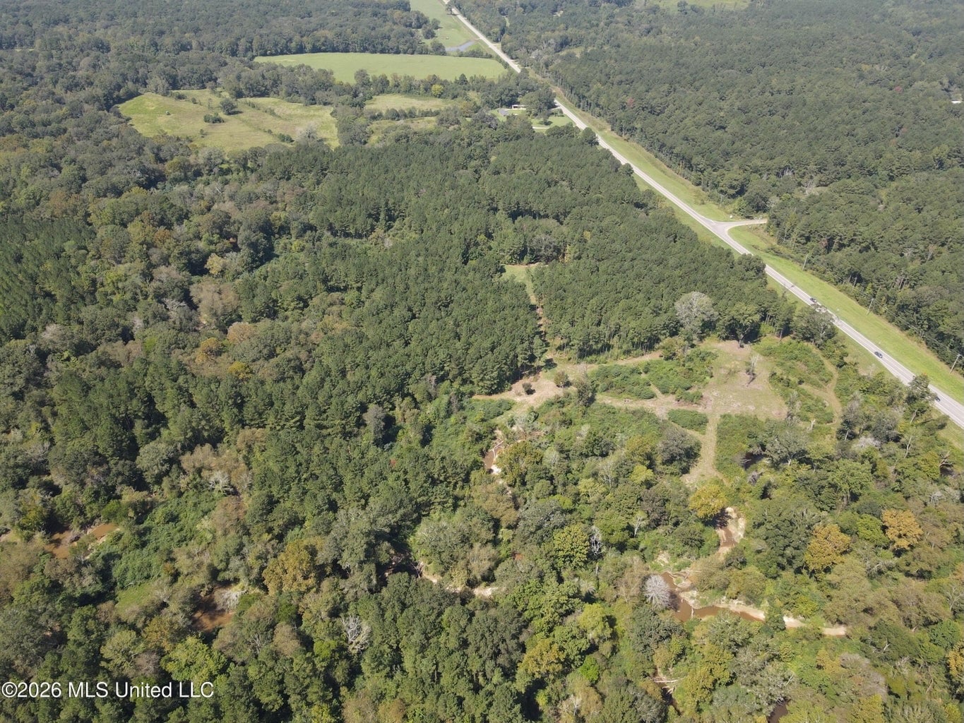 52 Acres Hunting & Timberland in Raleigh, MS