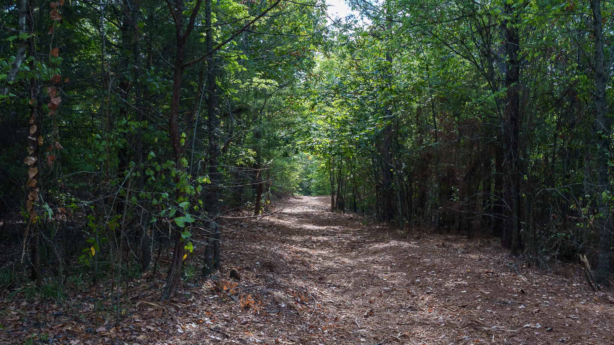Tyler Texas Hunting Property for Sale 141 ± Acres East of Dallas