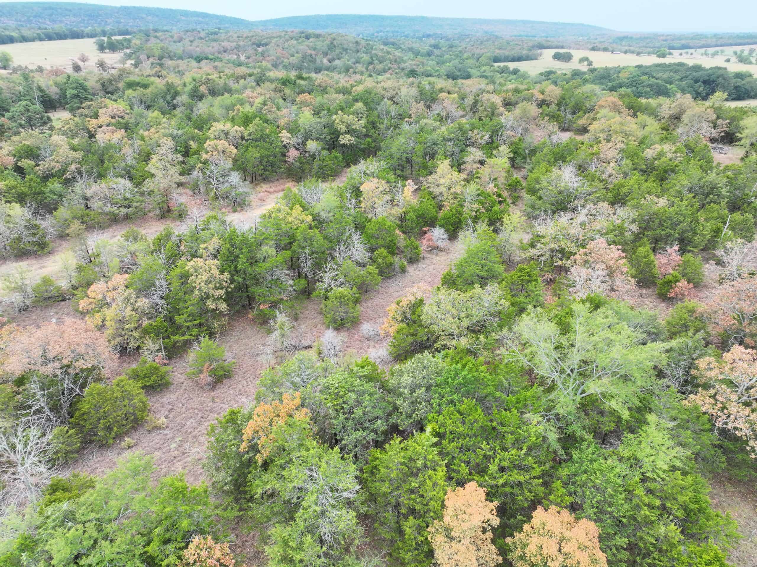 85 Acres of Hunting Land with Native Timber, Wildlife & Pond in SE Oklahoma