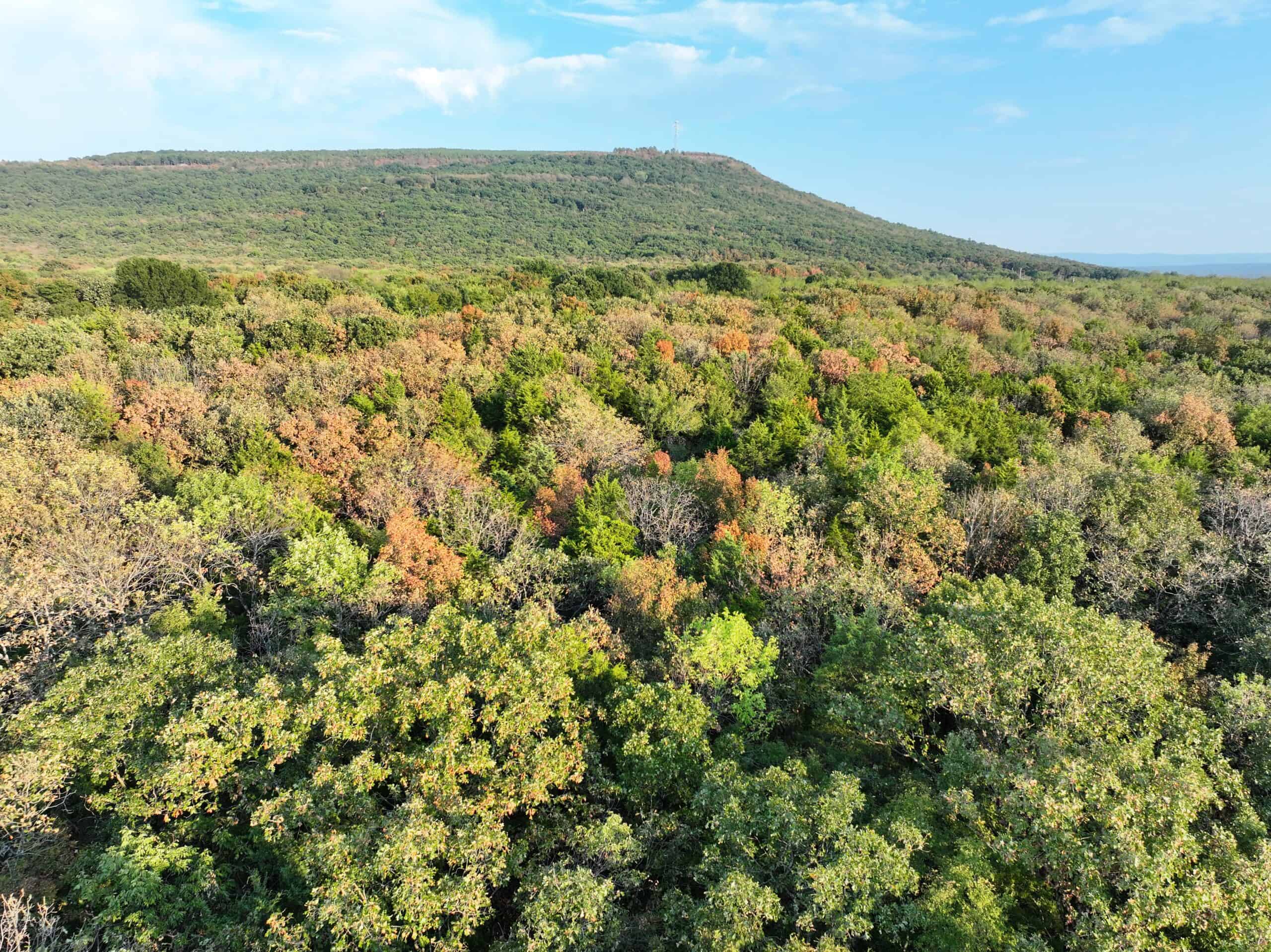 82.61-Acre Hunter’s Retreat with Stocked Lake & Barndominium