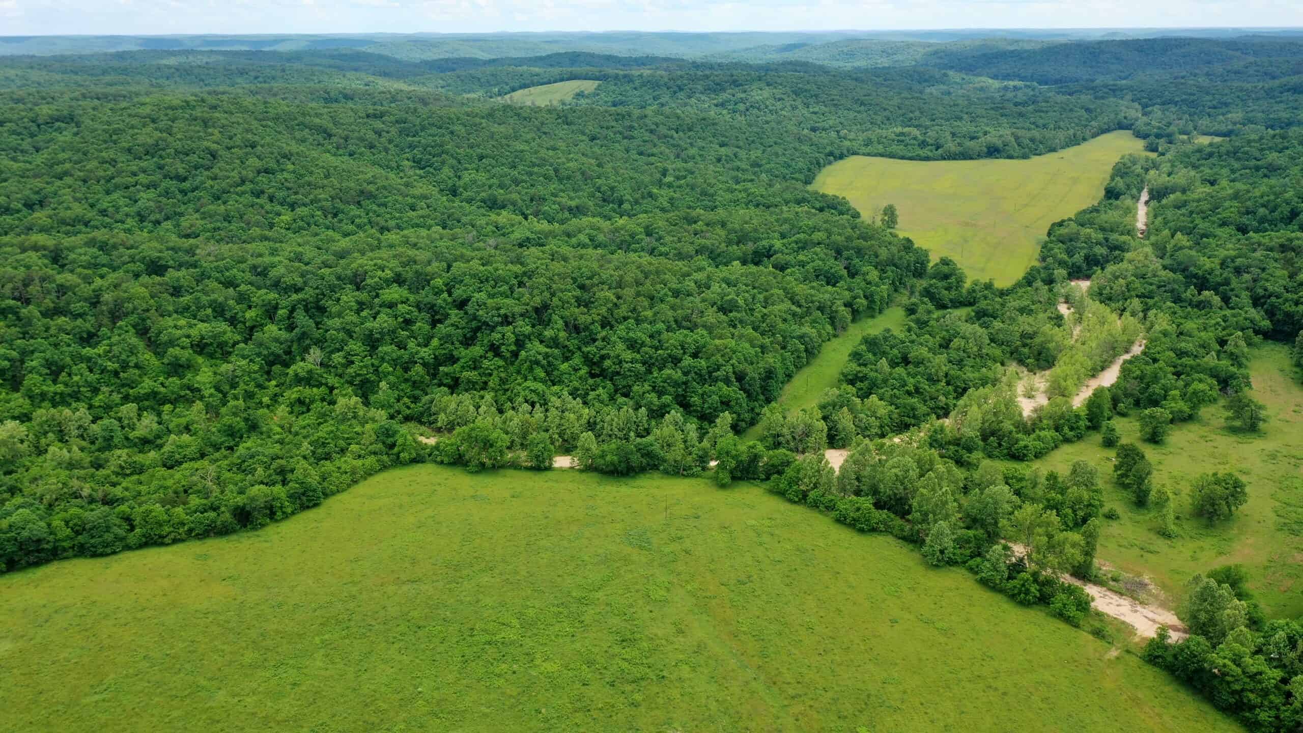 473 ± Acre Ozark Farm for Sale Near Salem, Missouri