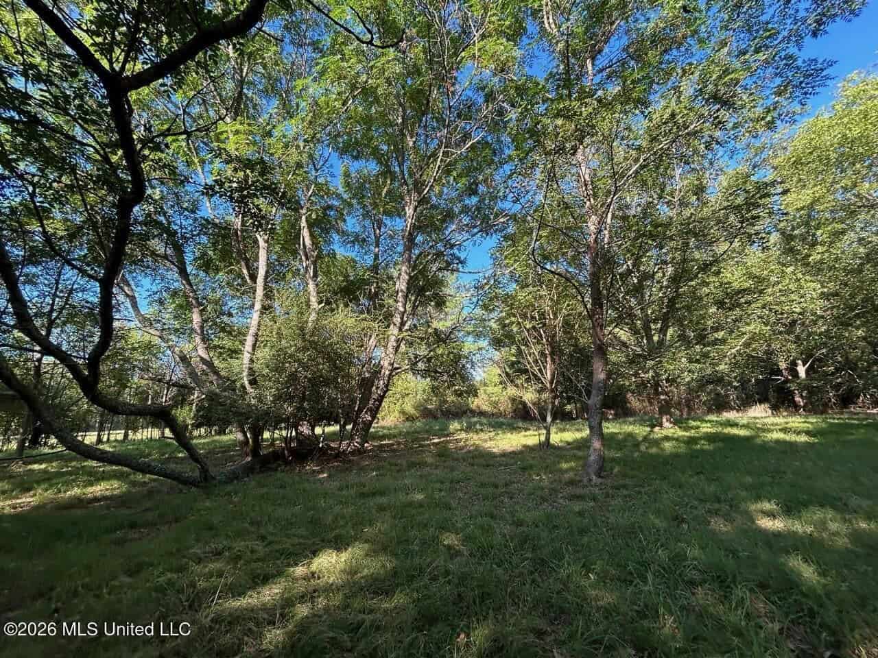 210+/- Acres and Cabin in Franklin County, MS