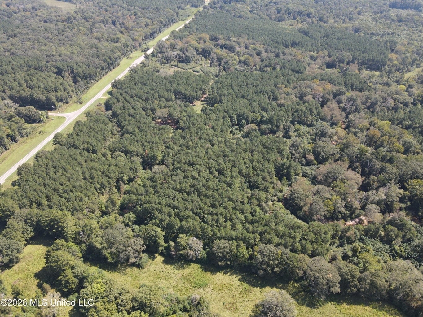 52 Acres Hunting & Timberland in Raleigh, MS