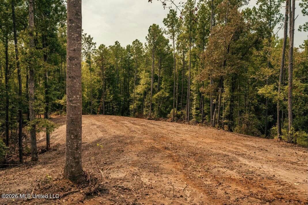 58± Acre Hunting Property in Franklin County, MS