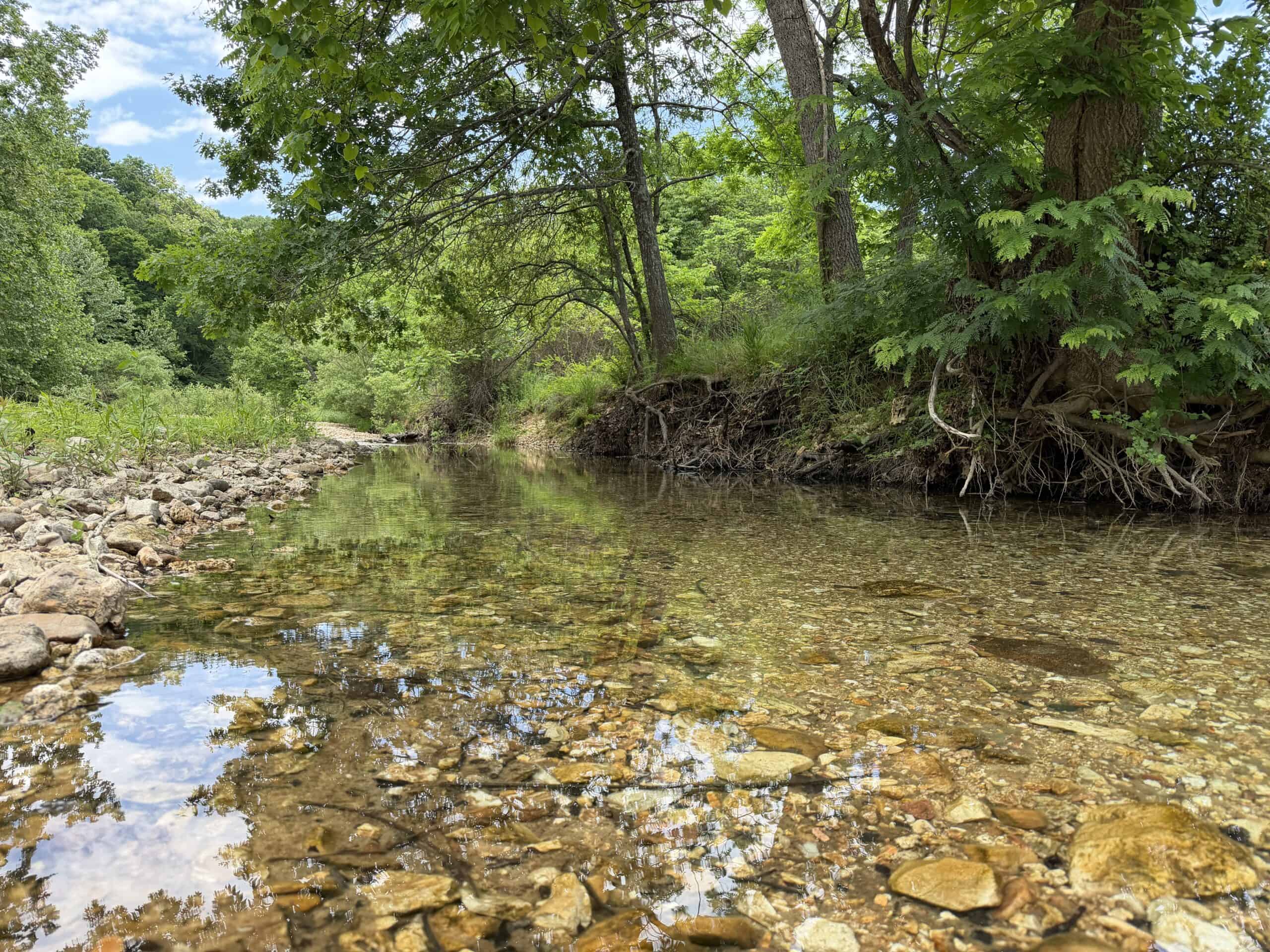 473 ± Acre Ozark Farm for Sale Near Salem, Missouri