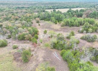 85 Acres of Hunting Land with Native Timber, Wildlife & Pond in SE Oklahoma