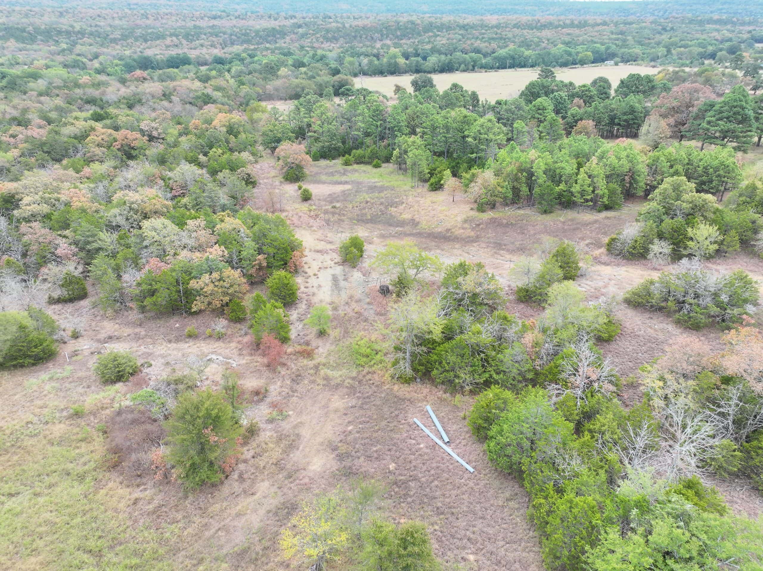 85 Acres of Hunting Land with Native Timber, Wildlife & Pond in SE Oklahoma