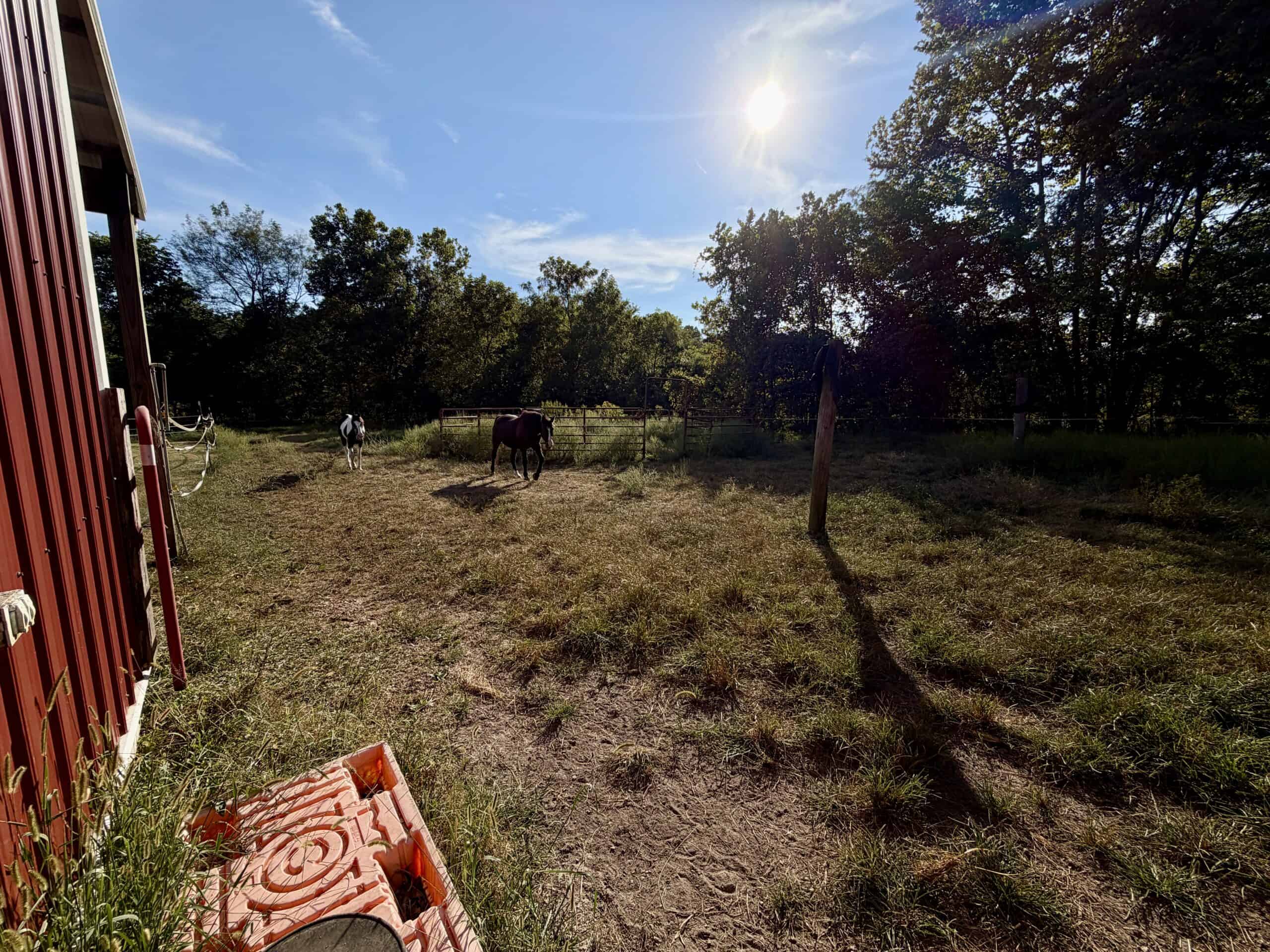 Secluded Acreage Farm and Home in Boss, Missouri