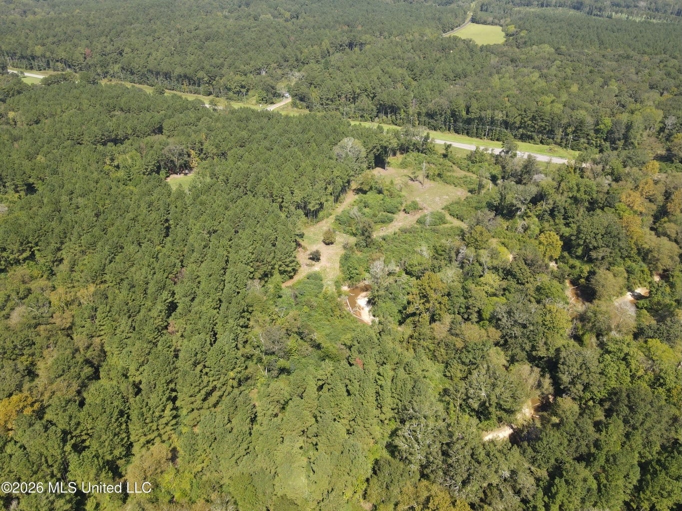 52 Acres Hunting & Timberland in Raleigh, MS