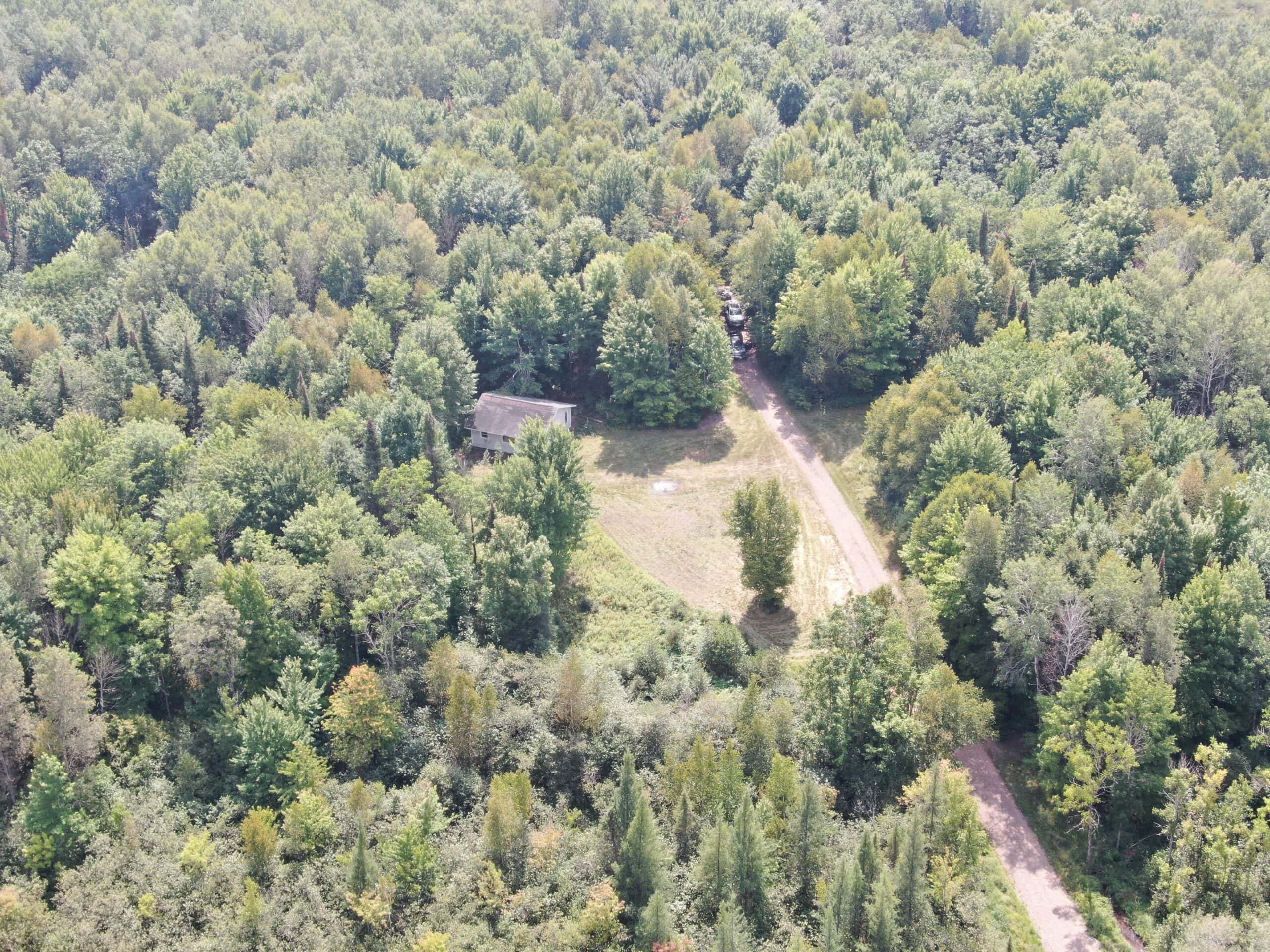 37.5± Acres with Off-Grid Cabin – Taylor County, Wisconsin