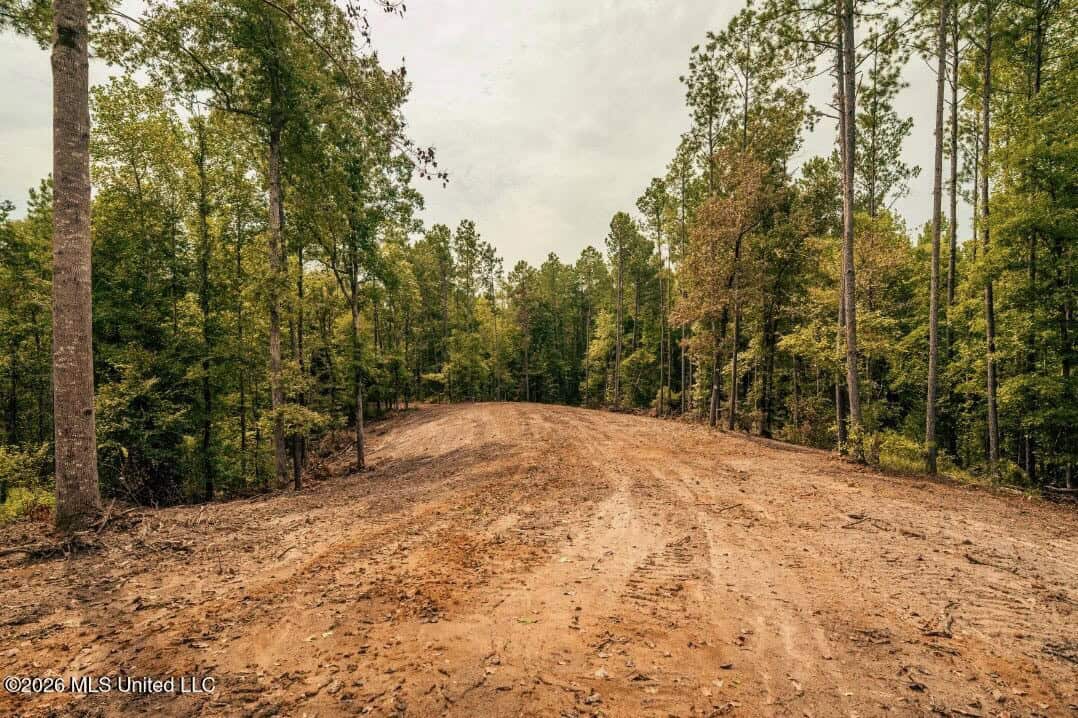 58± Acre Hunting Property in Franklin County, MS