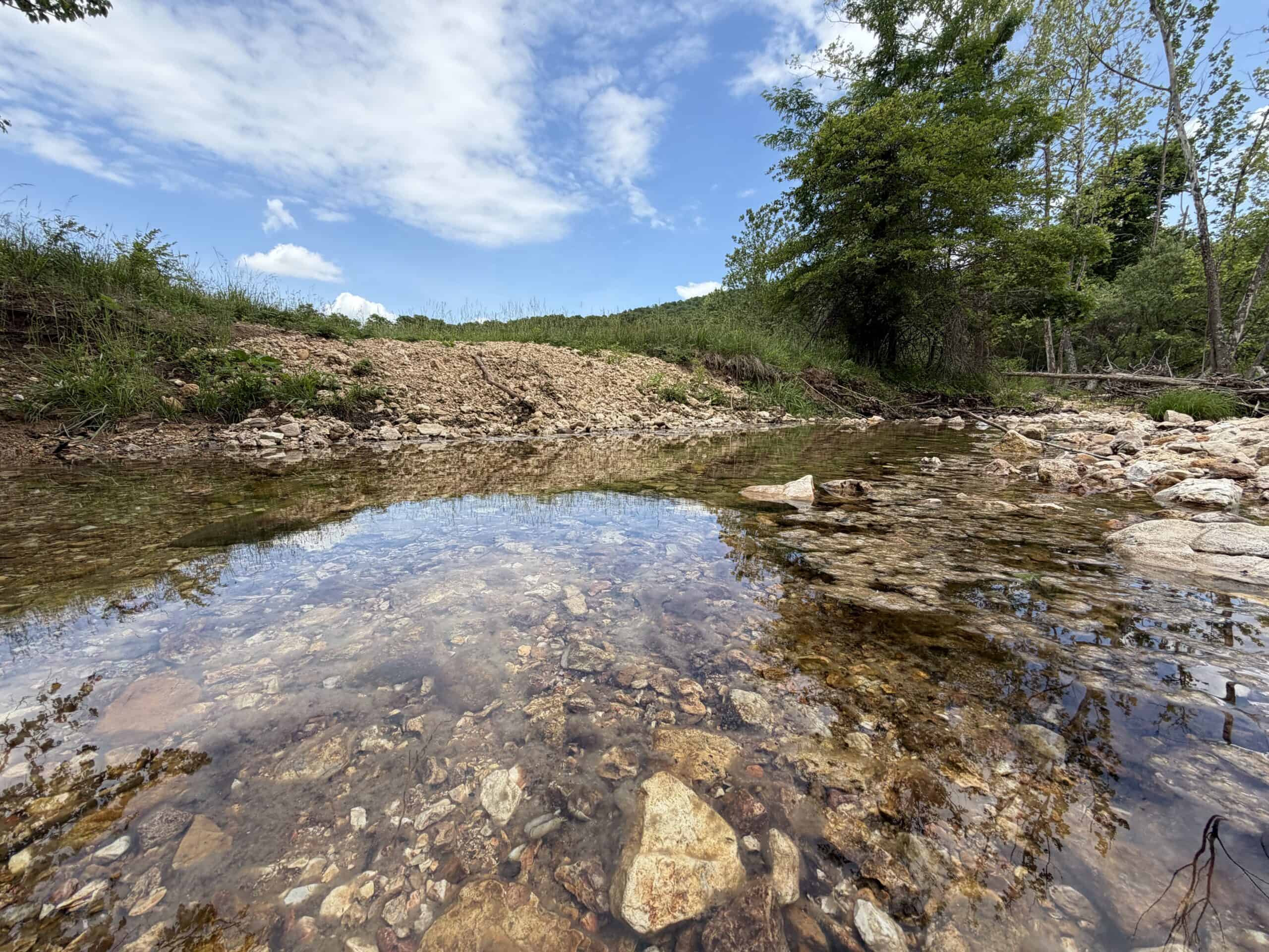 473 ± Acre Ozark Farm for Sale Near Salem, Missouri