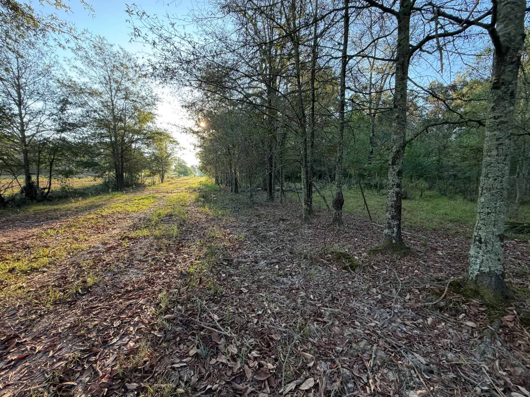 80 Ac Home, Hunting & Cattle Land in Franklin Parish LA