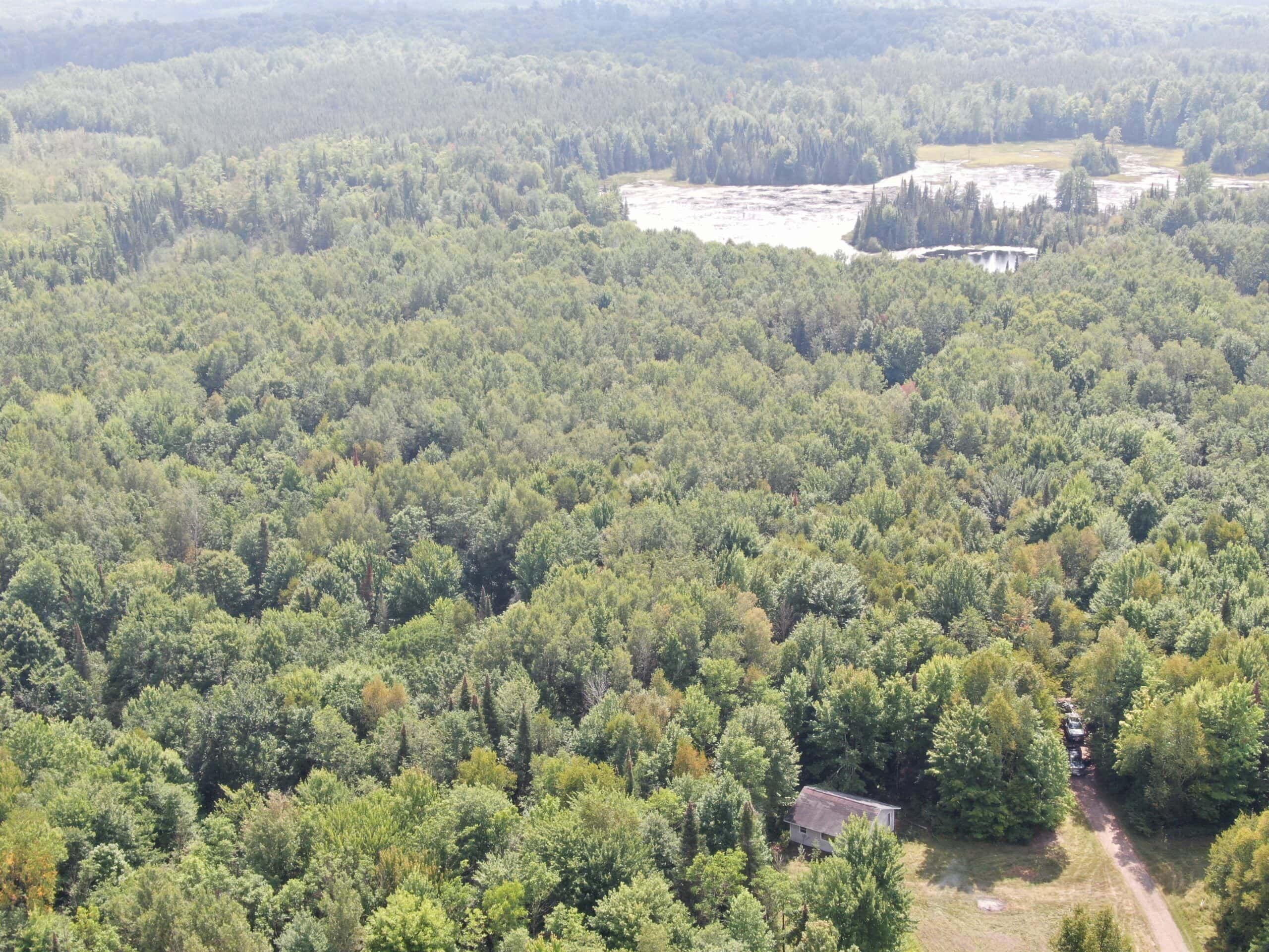 37.5± Acres with Off-Grid Cabin – Taylor County, Wisconsin
