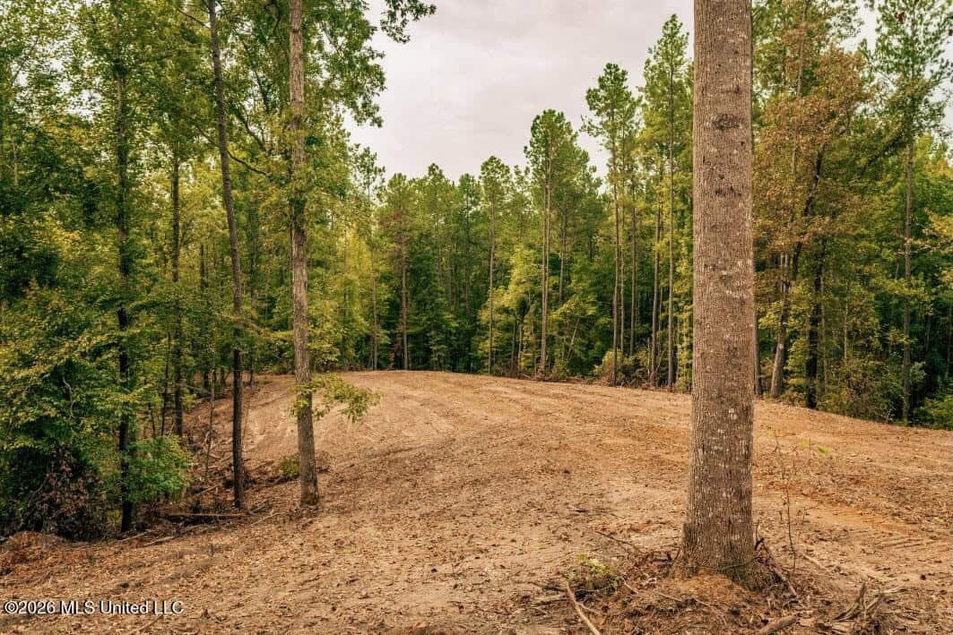 58± Acre Hunting Property in Franklin County, MS