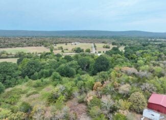 85 Acres of Hunting Land with Native Timber, Wildlife & Pond in SE Oklahoma