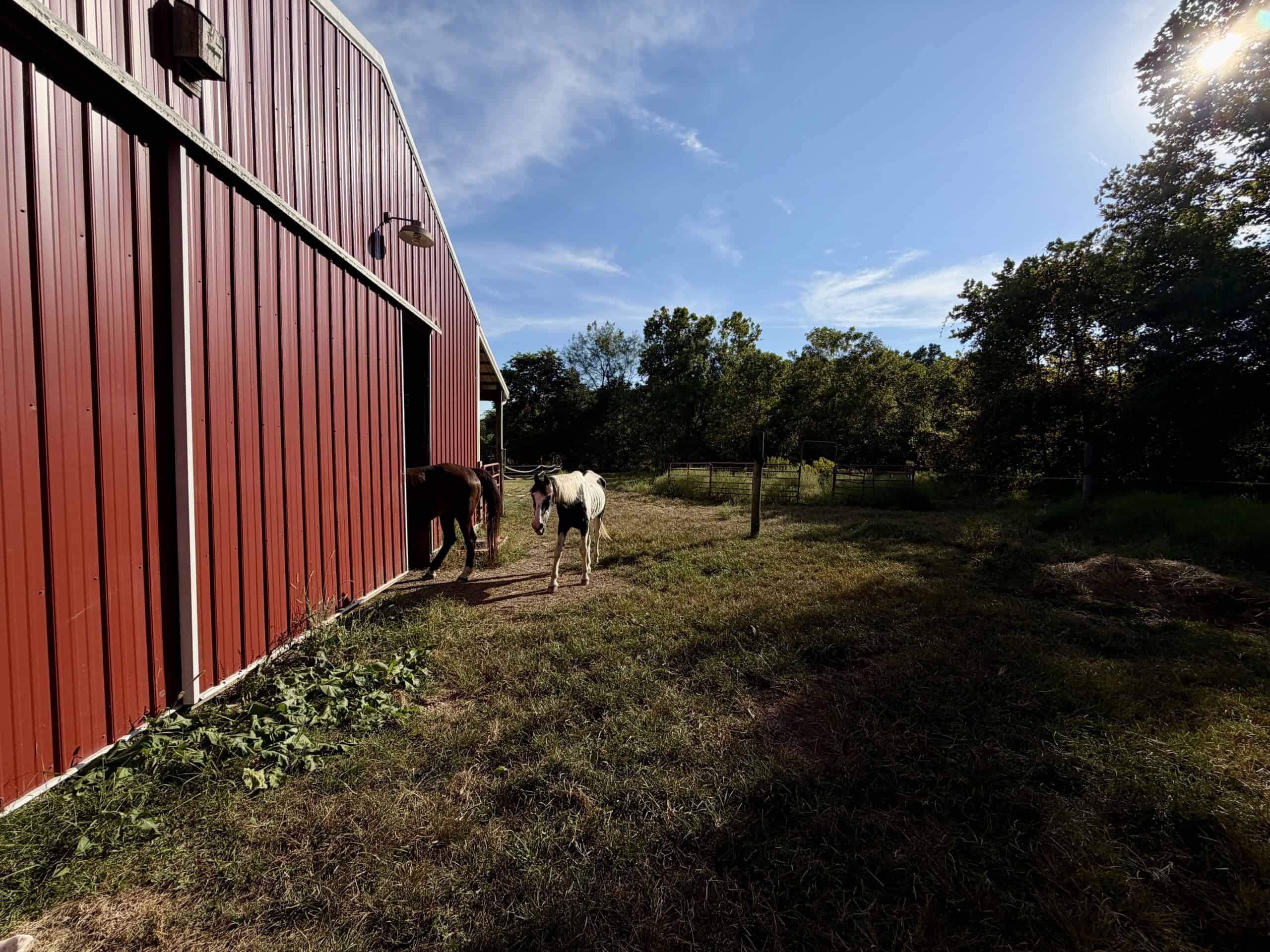 Secluded Acreage Farm and Home in Boss, Missouri