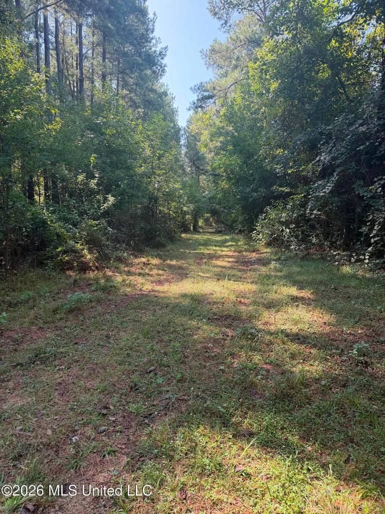 76 Acres of Hunting Land in Raleigh, MS, Smith County